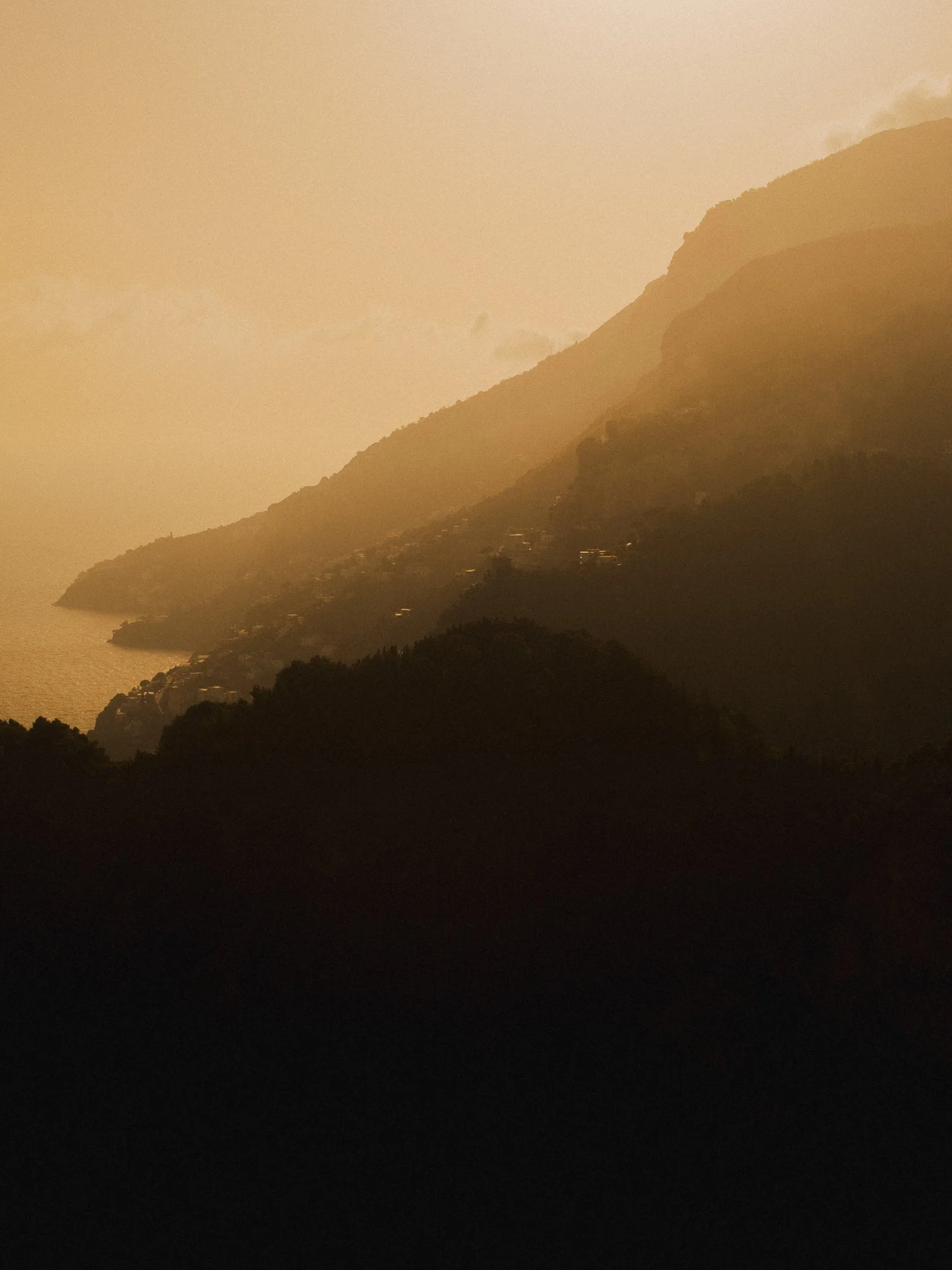 DSCF2239.jpg