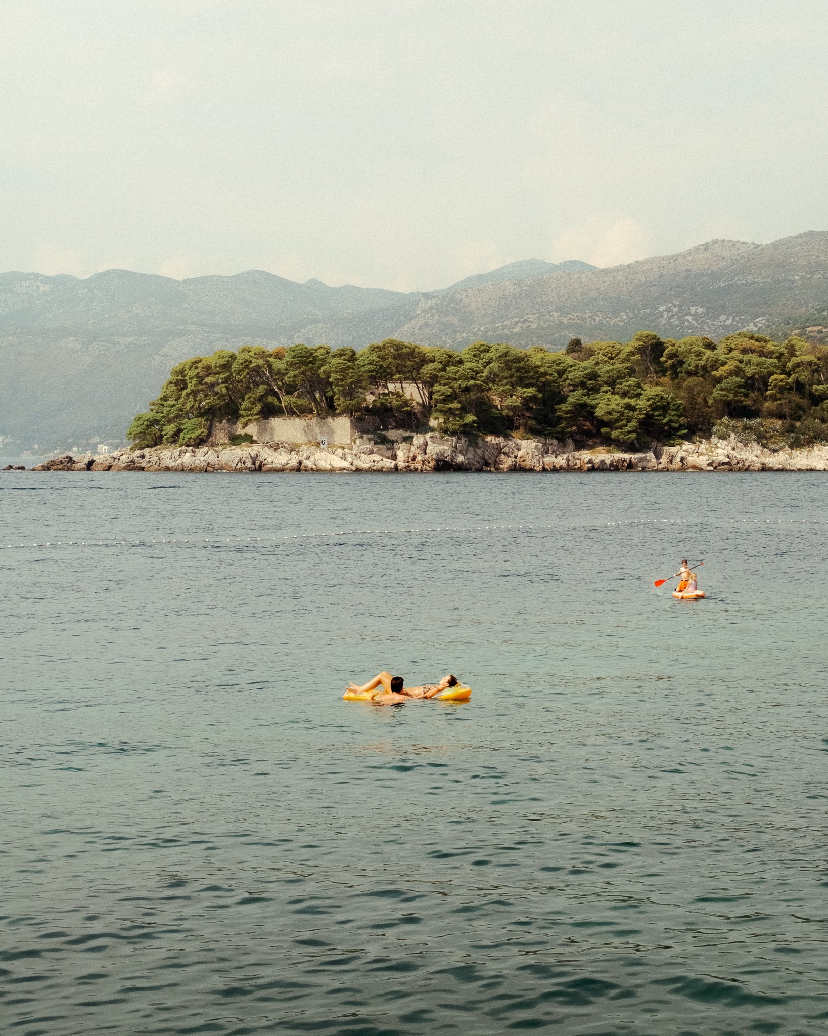 DSCF2818.jpg