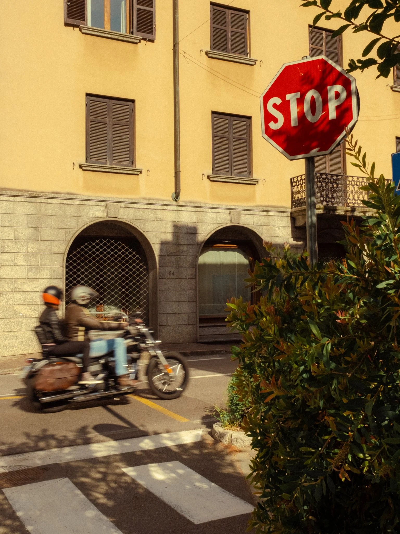 DSCF4430.jpg