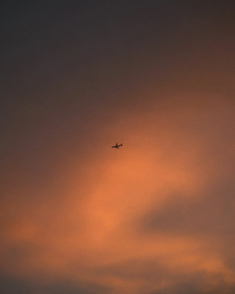 reala ace web res-14.jpg