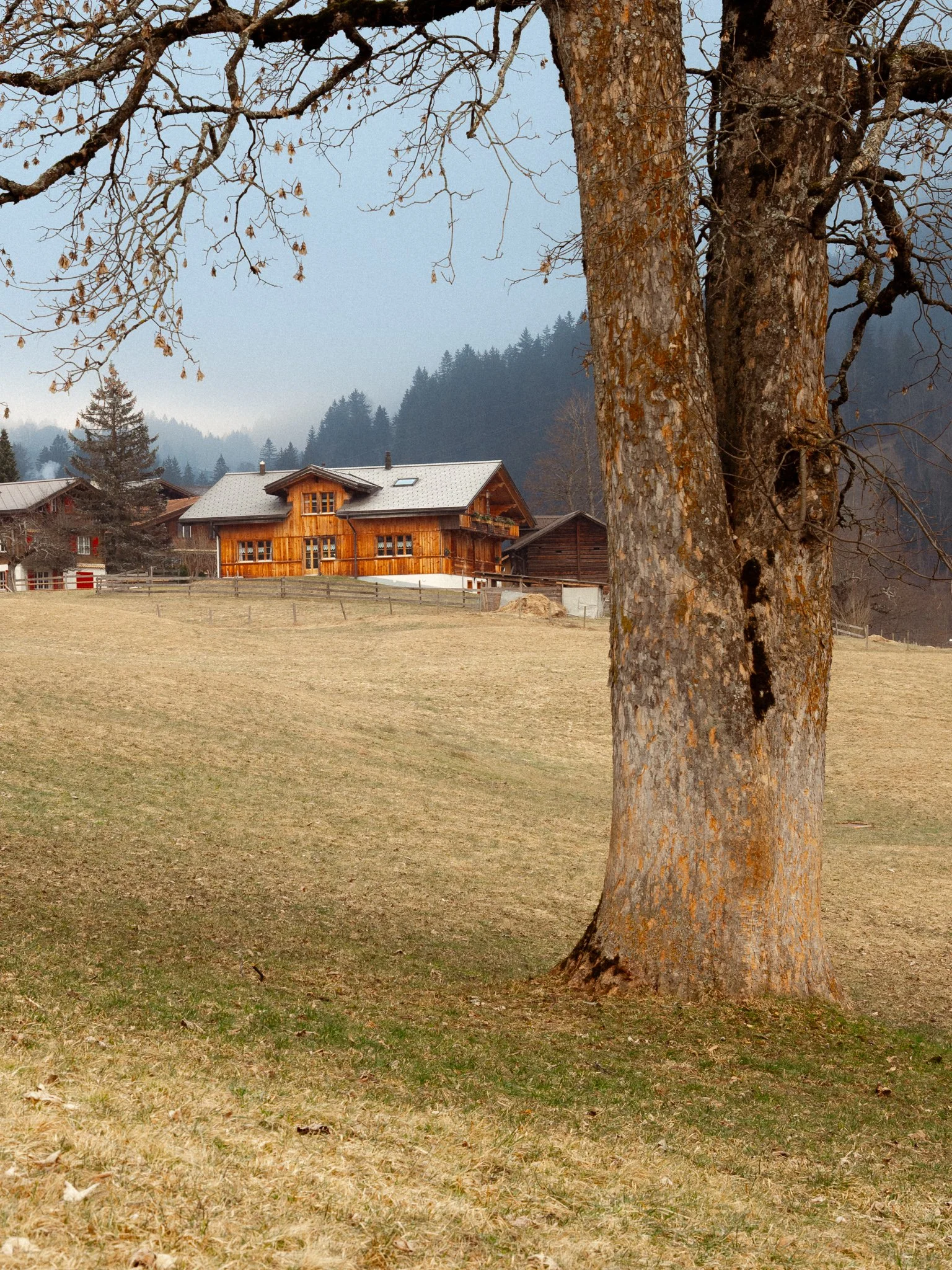 DSCF4026.jpg