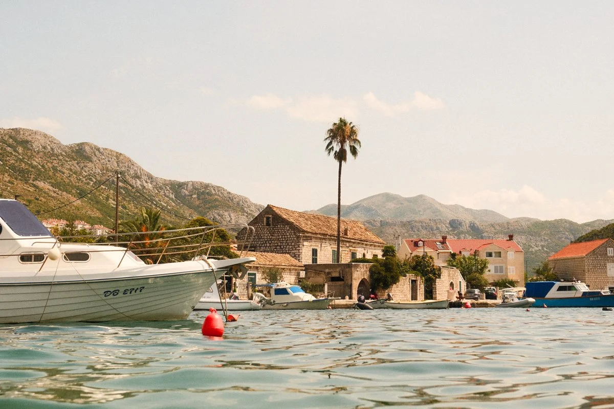 reala ace web res-6.jpg