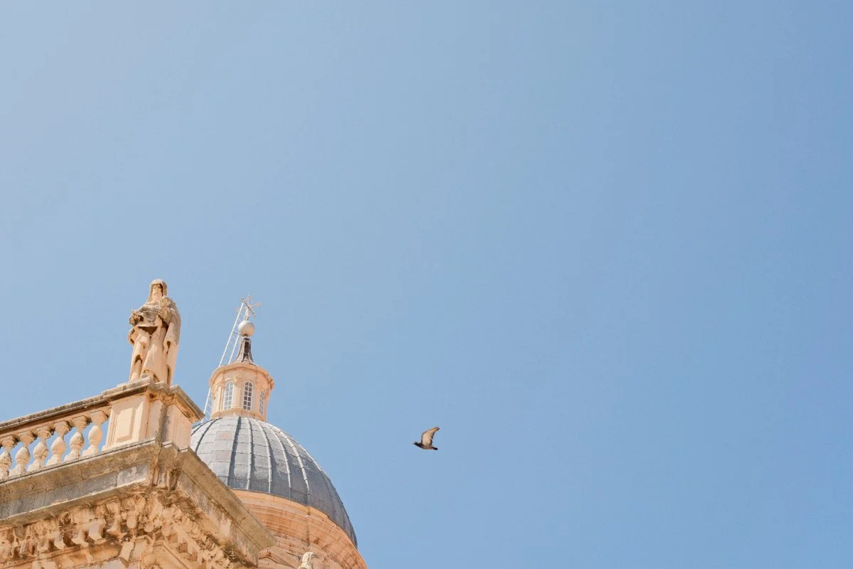 provia web res-1.jpg