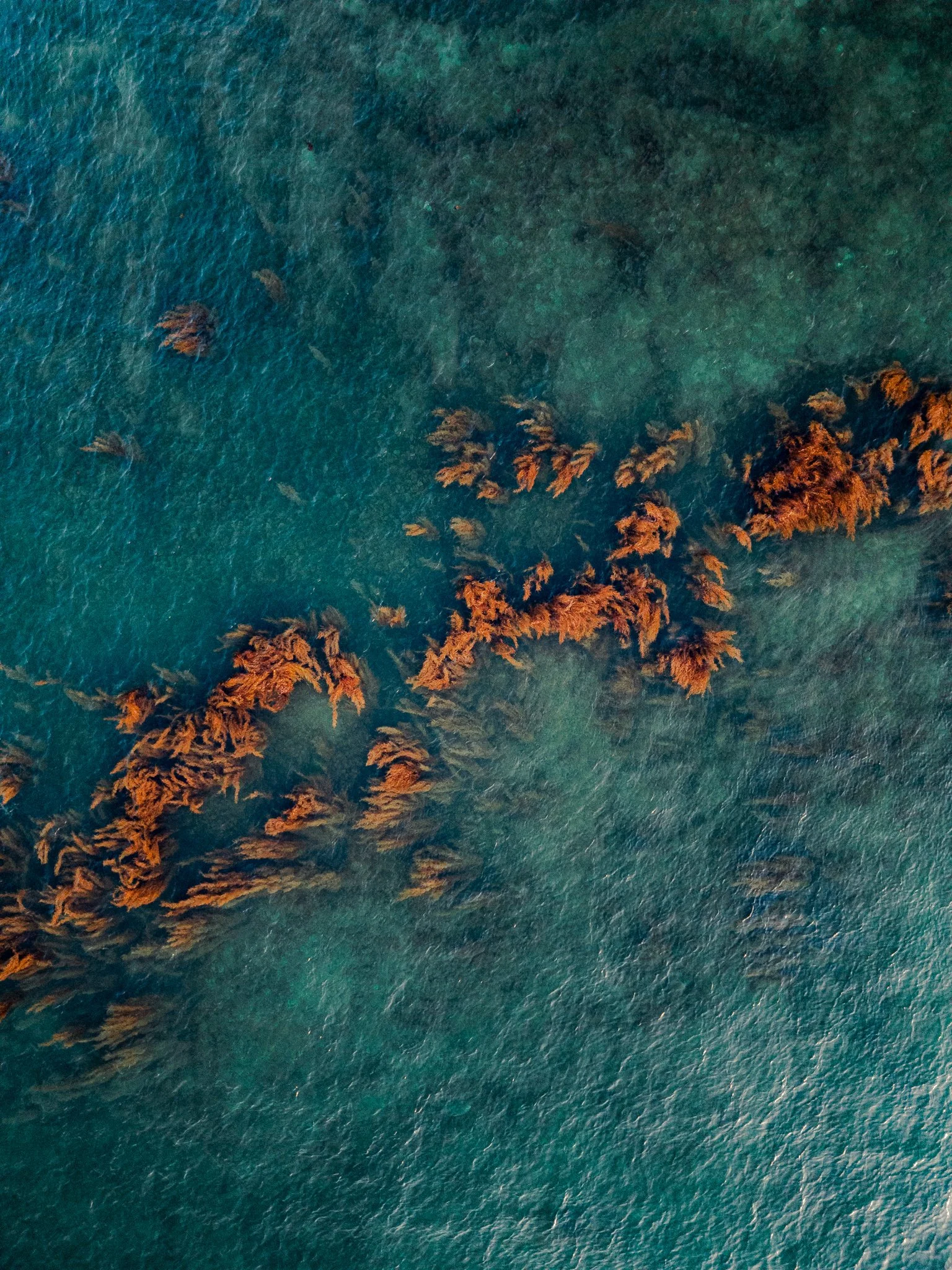 DJI_0023.jpg