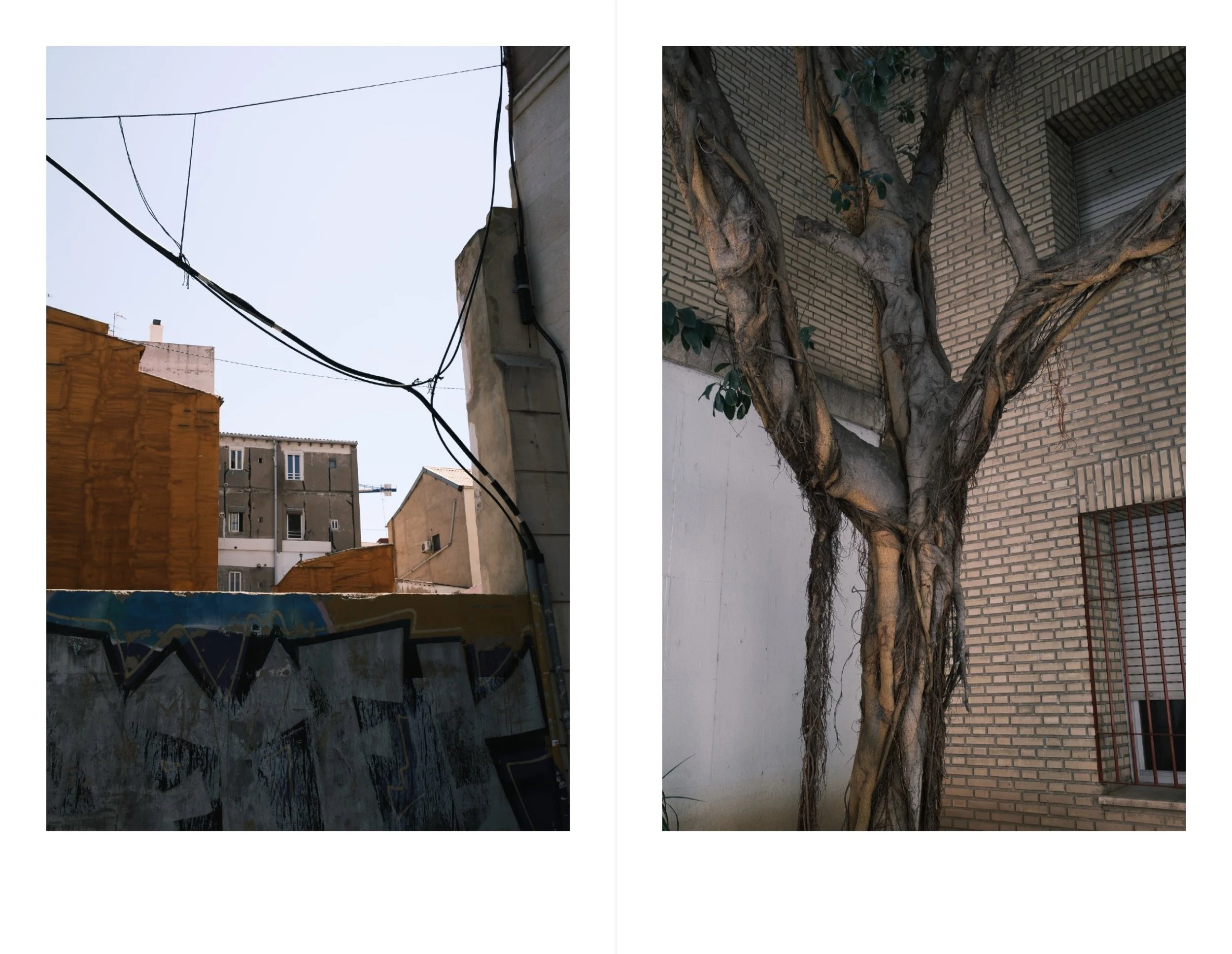 Valencia for web 3.jpeg