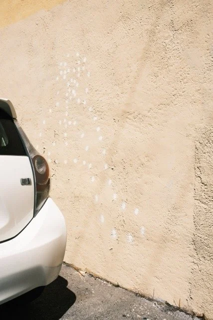 DSCF3073 Medium.jpeg