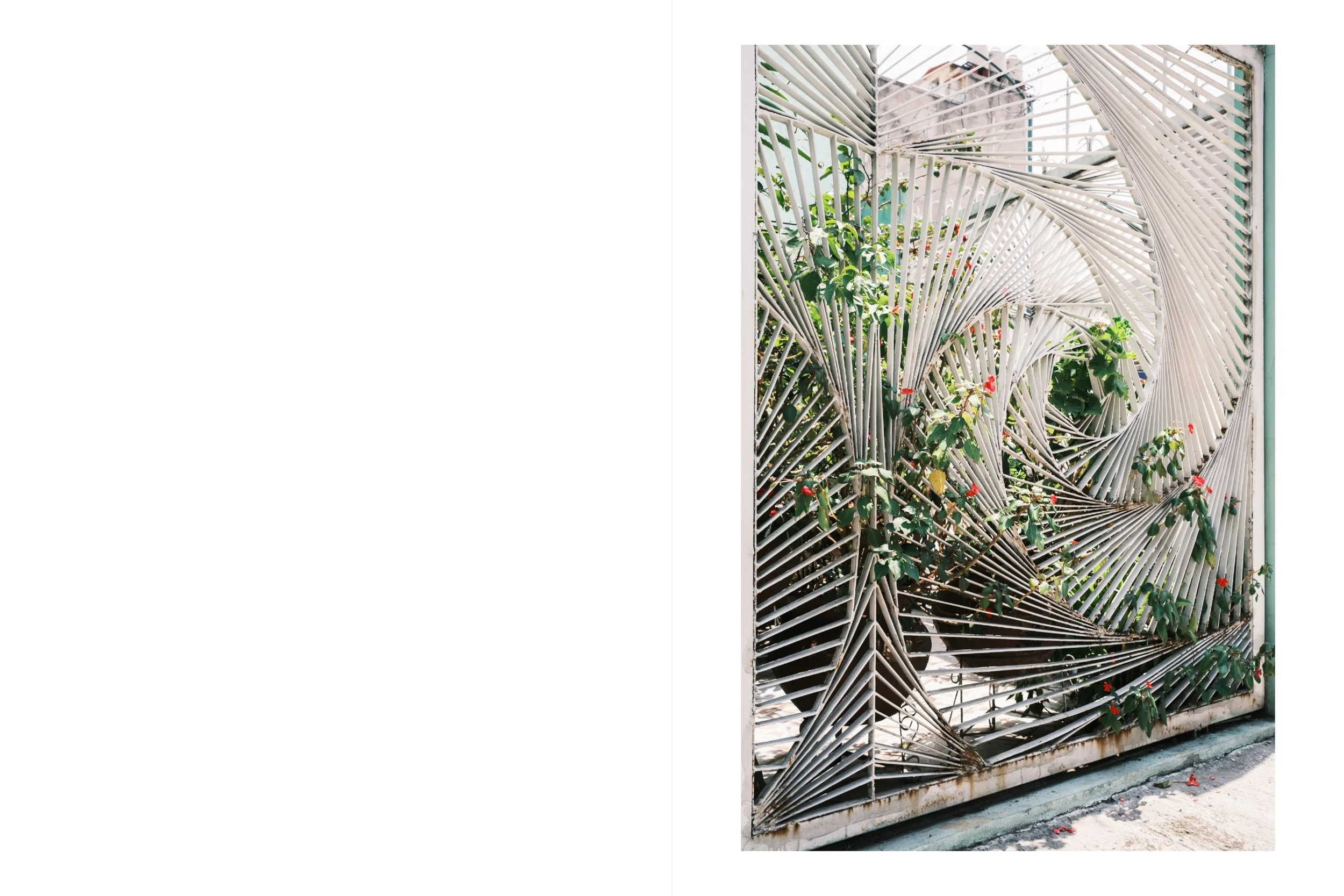 there is for web-12.jpeg