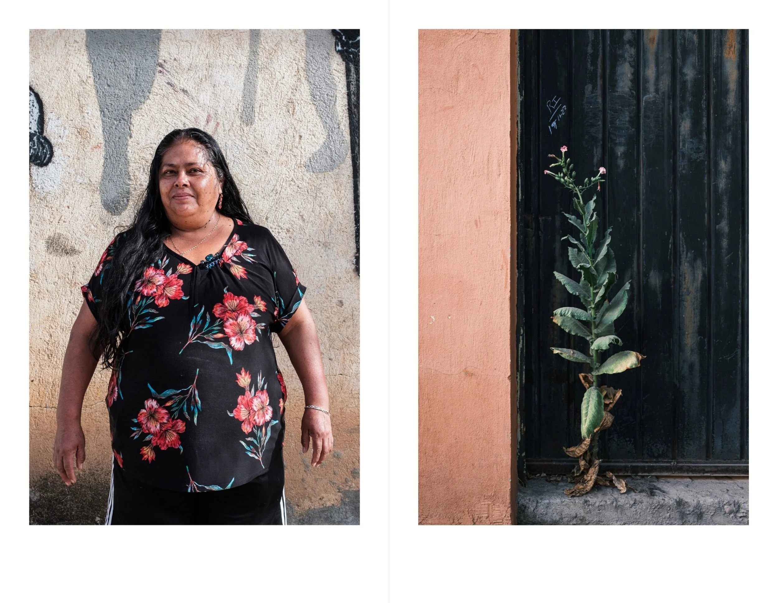 Oaxaca for web 8.jpeg