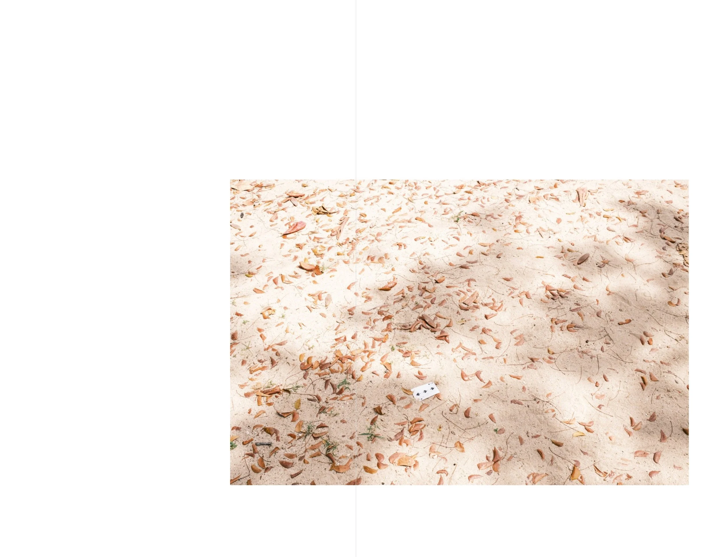 Bridgetown for web 16.jpeg