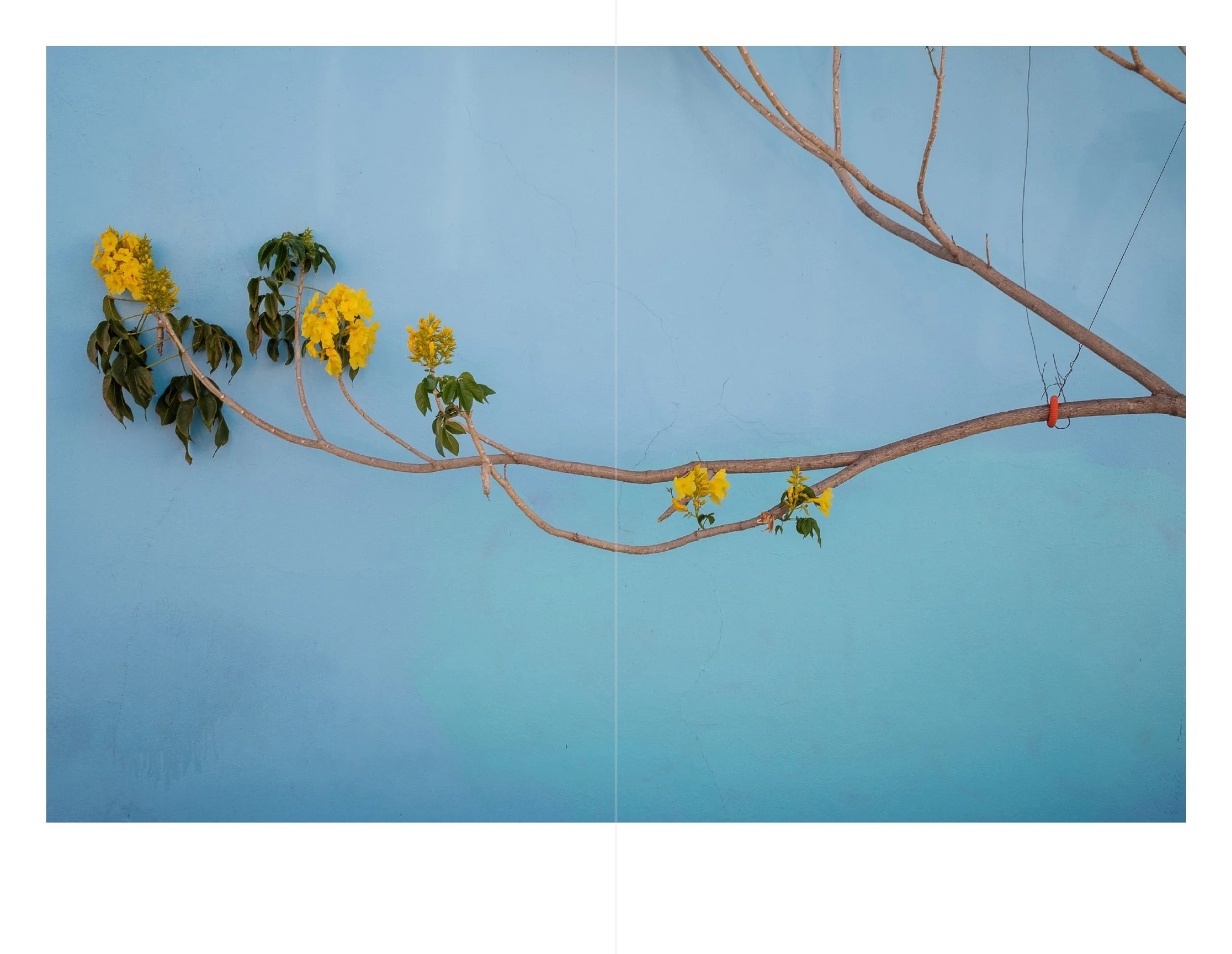 Oaxaca for web 11.jpeg