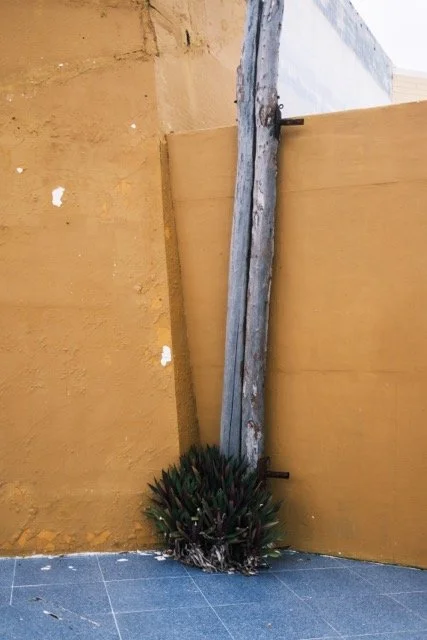 DSCF1703 Medium.jpeg