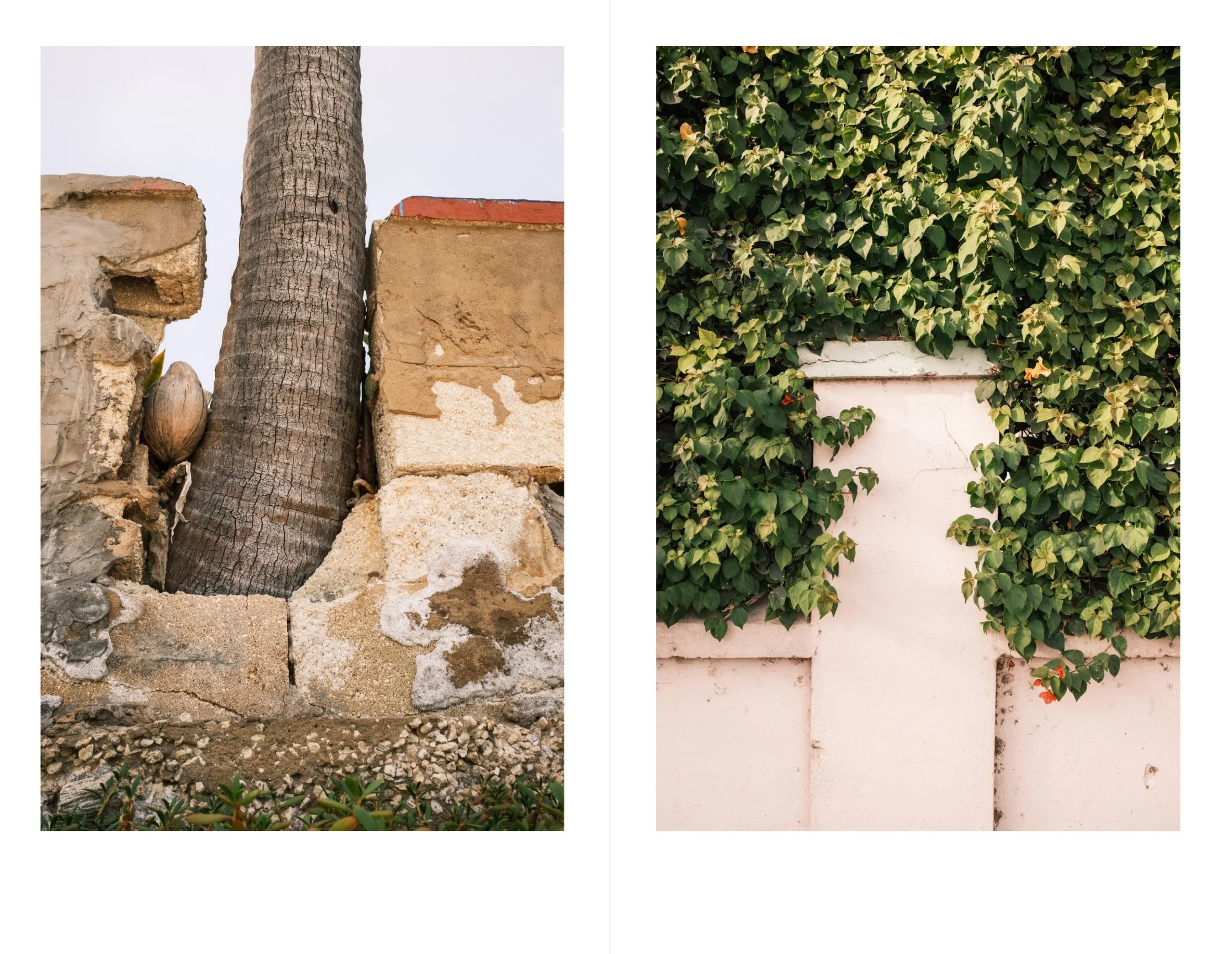 Bridgetown for web 24.jpeg