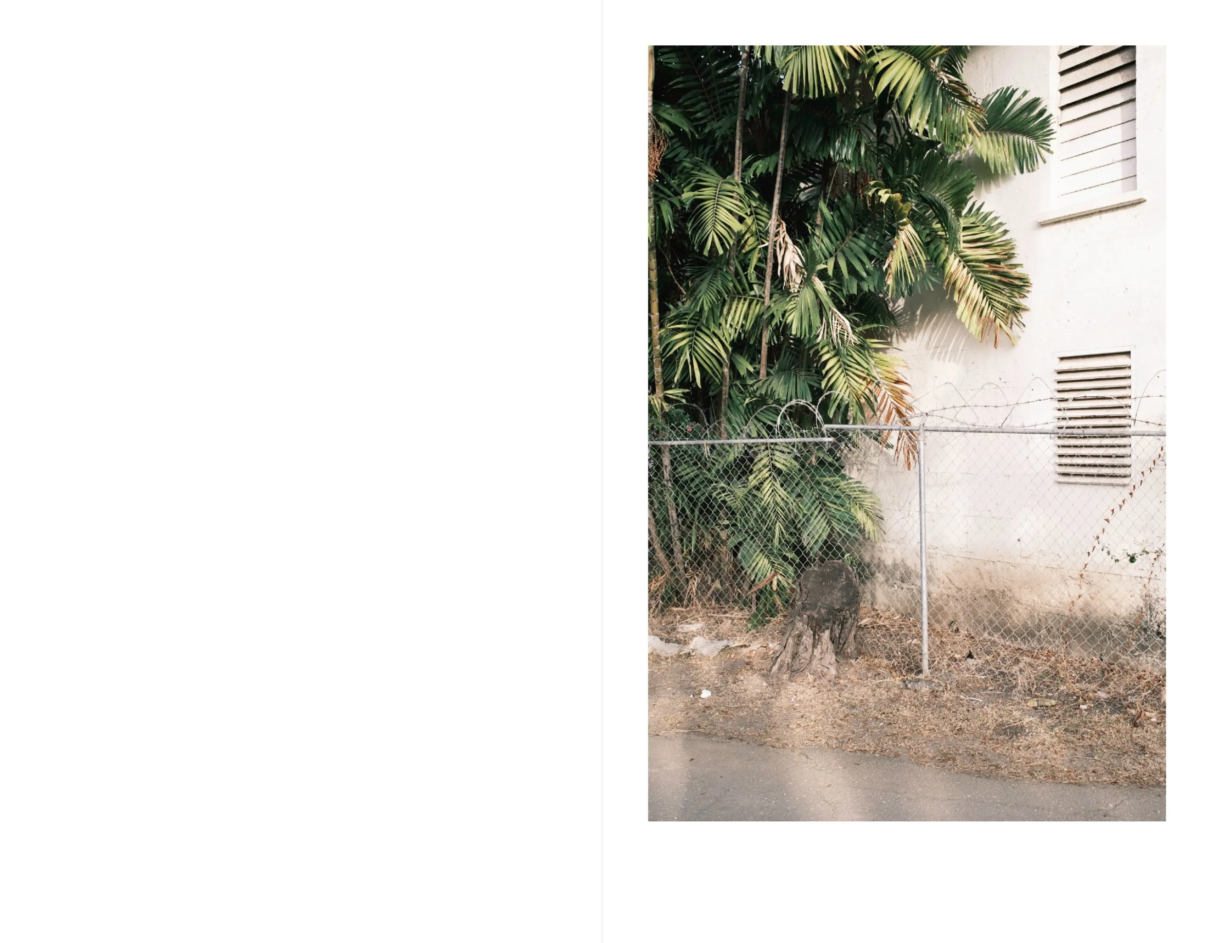 Bridgetown for web 20.jpeg