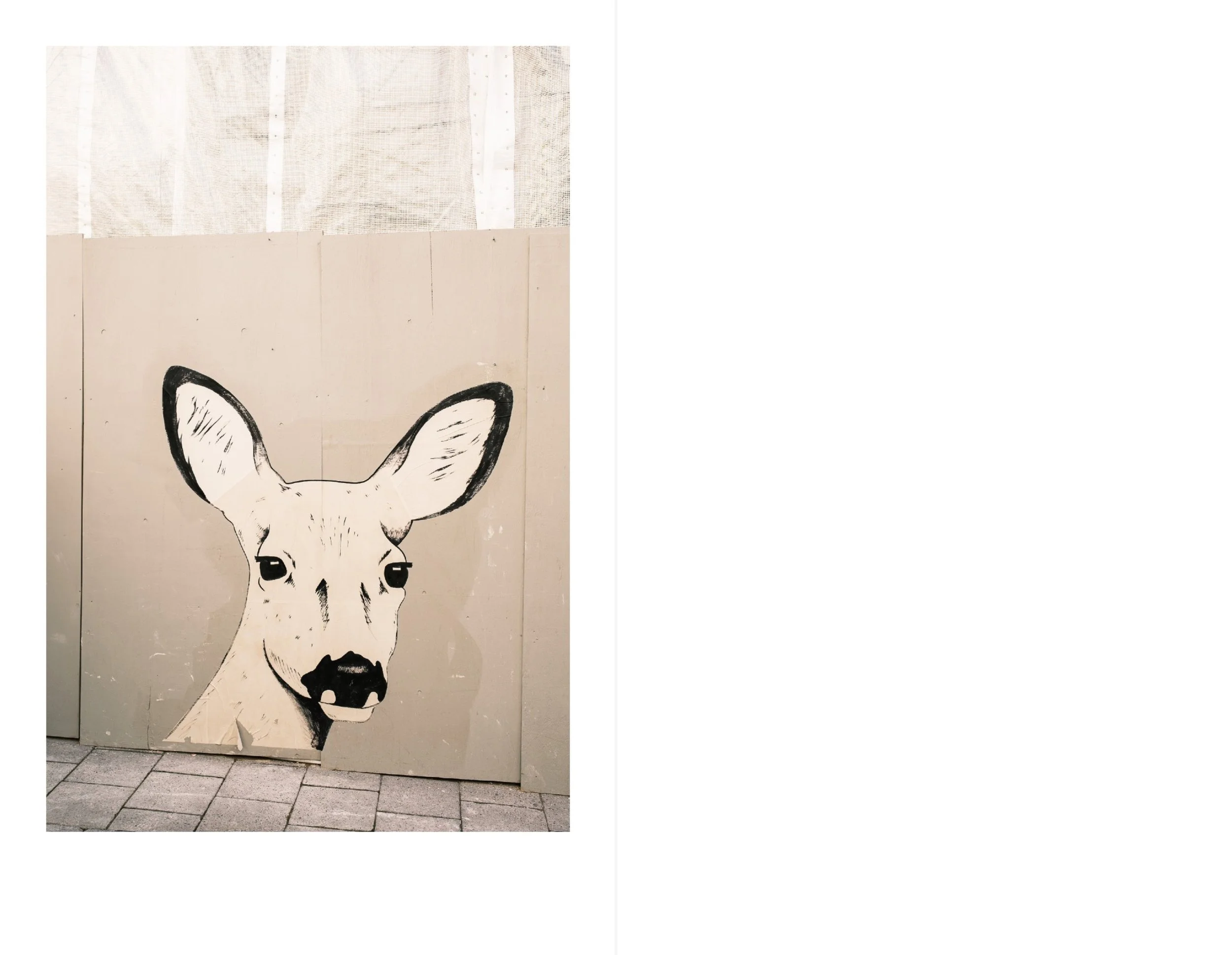 Stockholm for web 13.jpeg