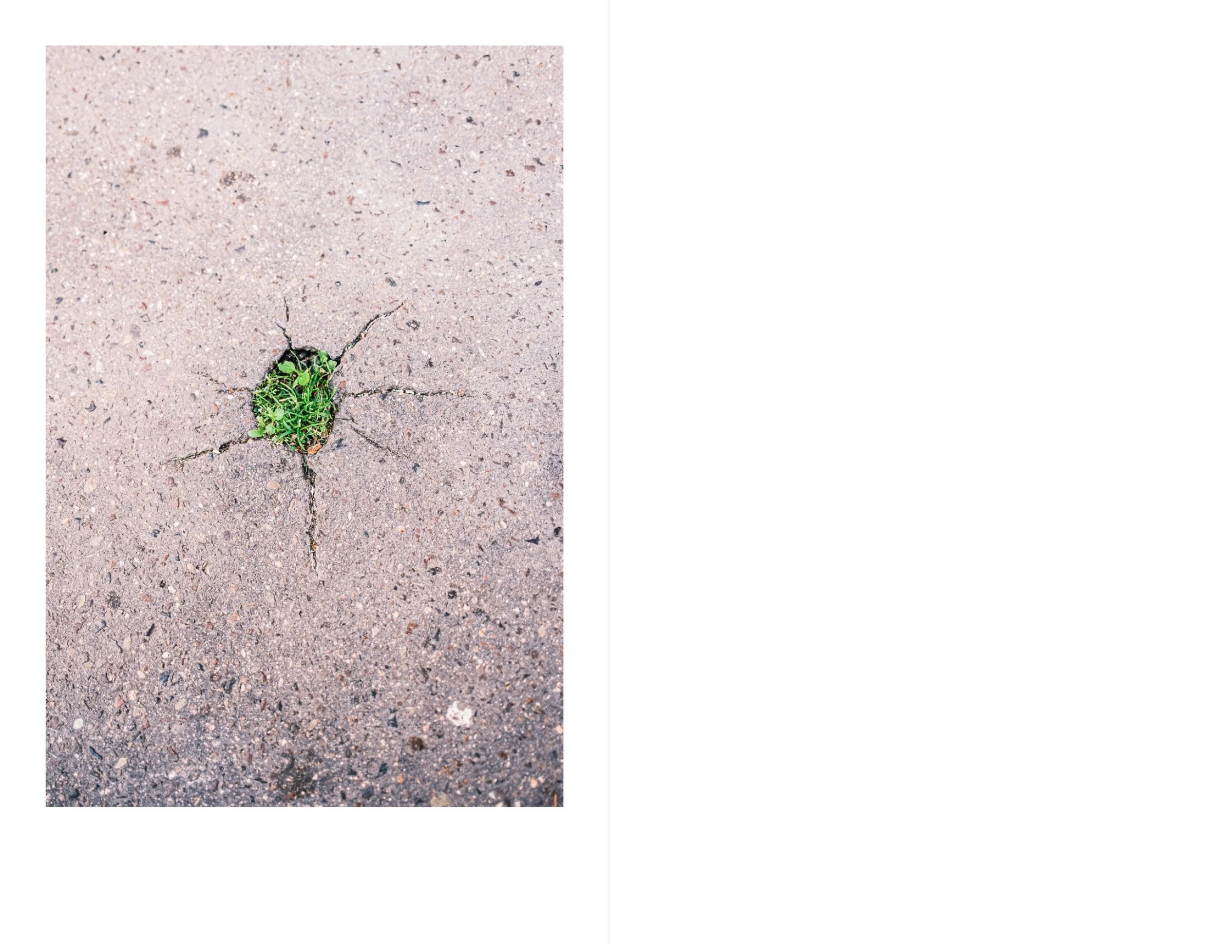 Paris for web 12.jpeg