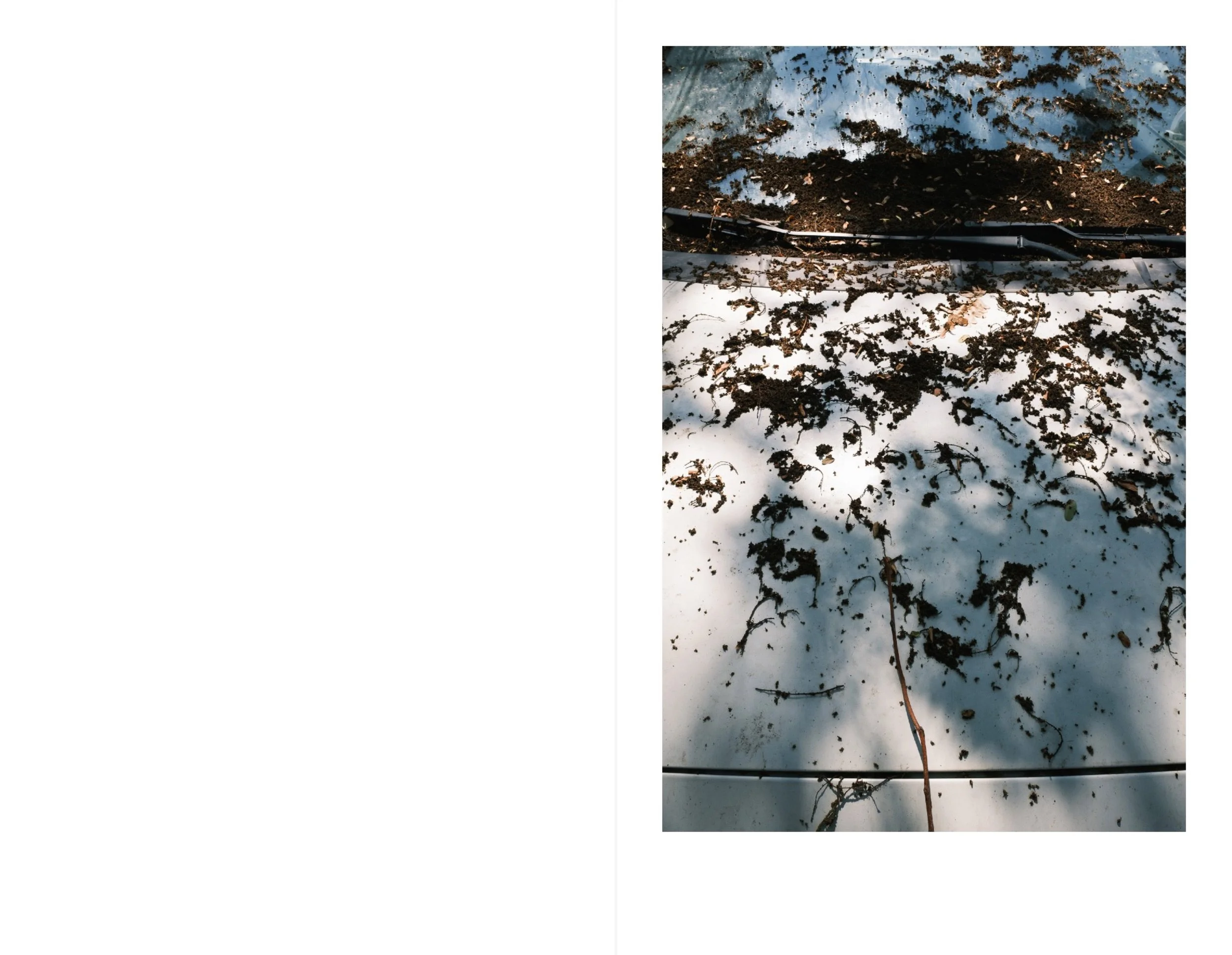 Valencia for web 12.jpeg