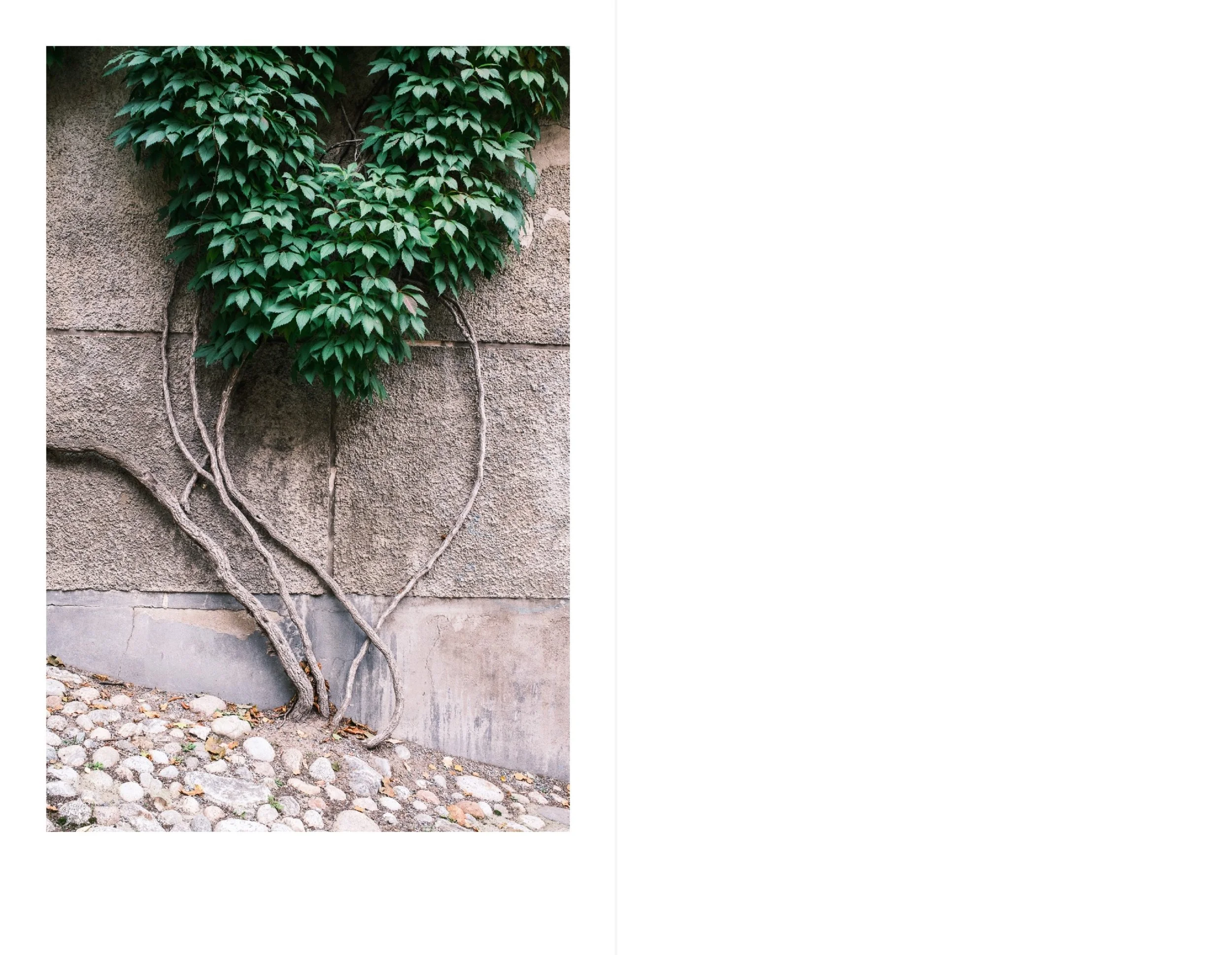 Stockholm for web 5.jpeg