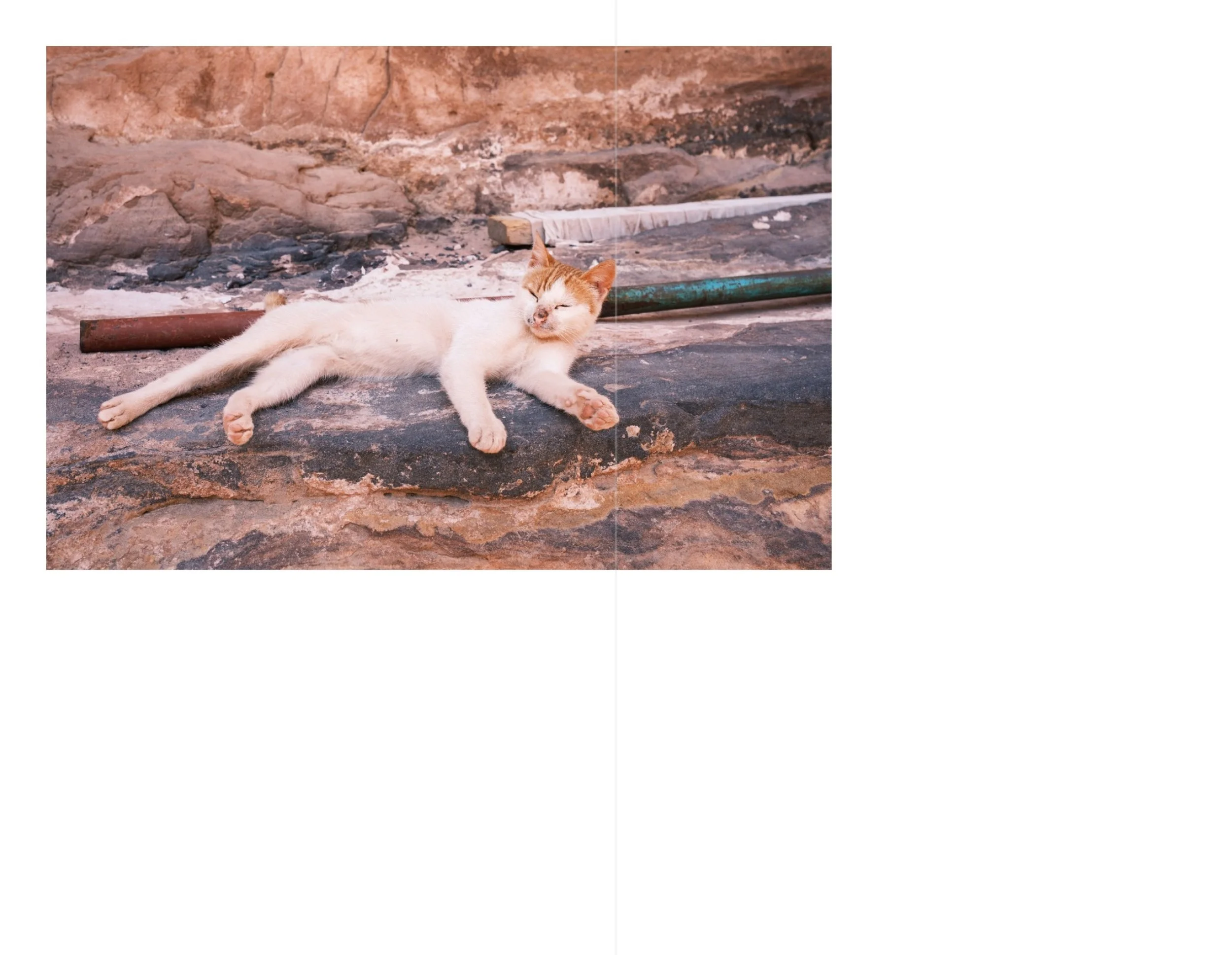 Petra for web 24.jpeg