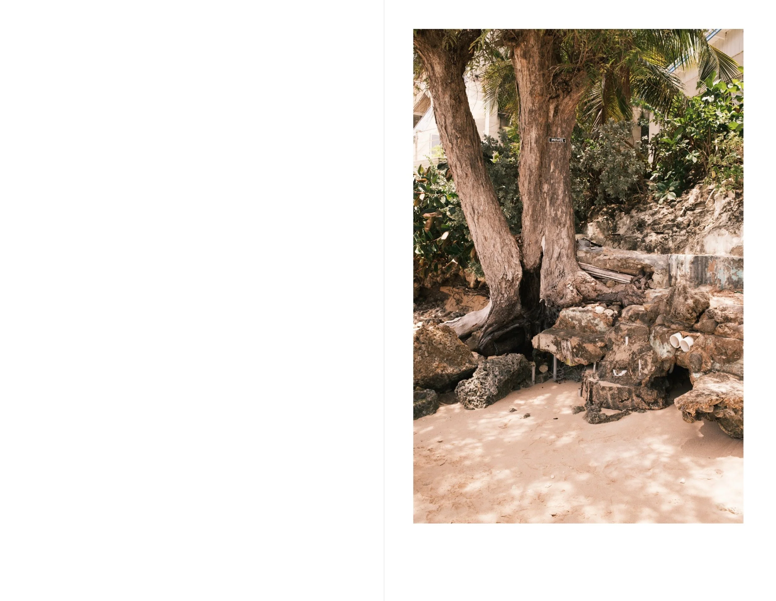 Bridgetown for web 18.jpeg