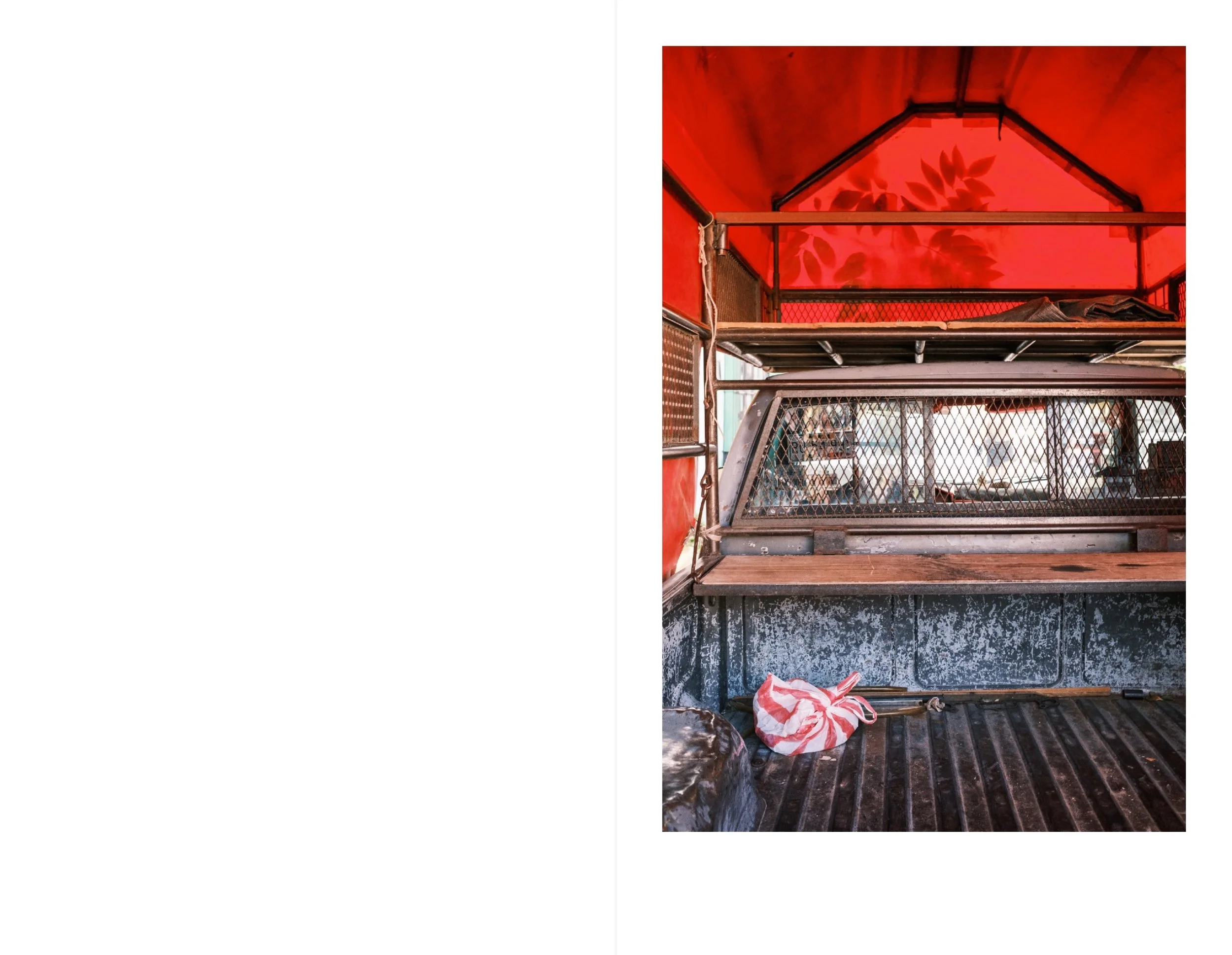 Oaxaca for web 2.jpeg