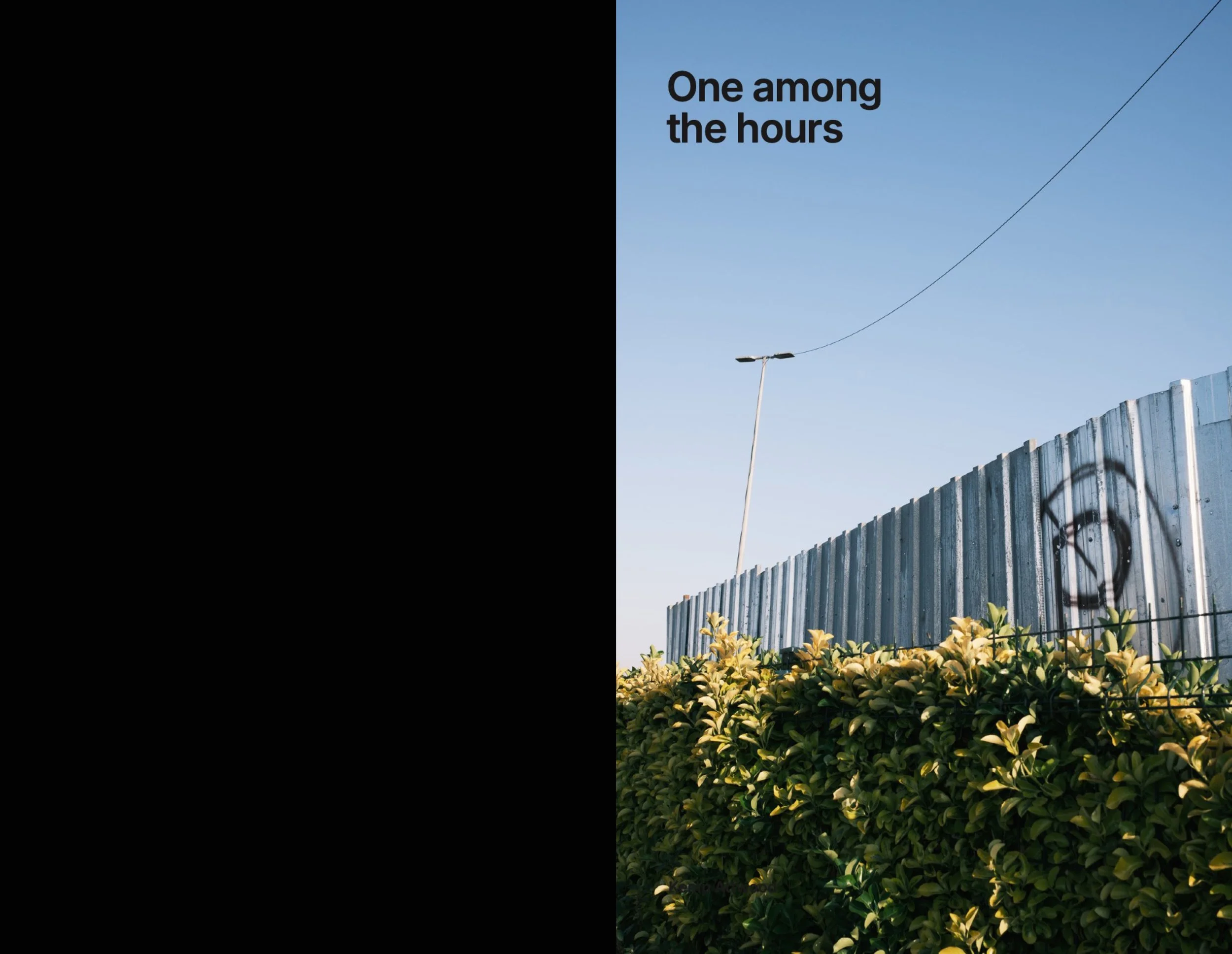 Istanbul for web-1.jpeg