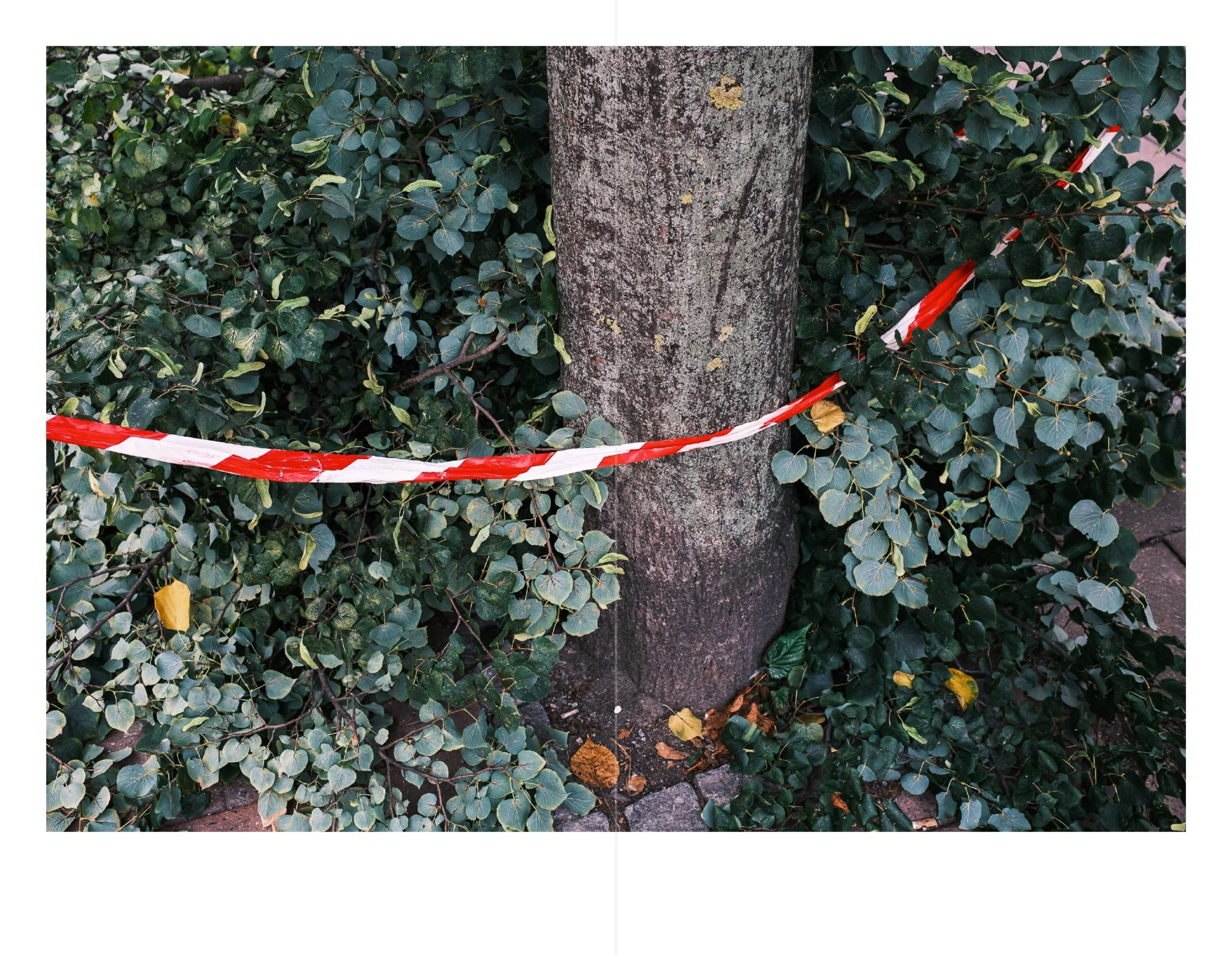 Stockholm for web 7.jpeg