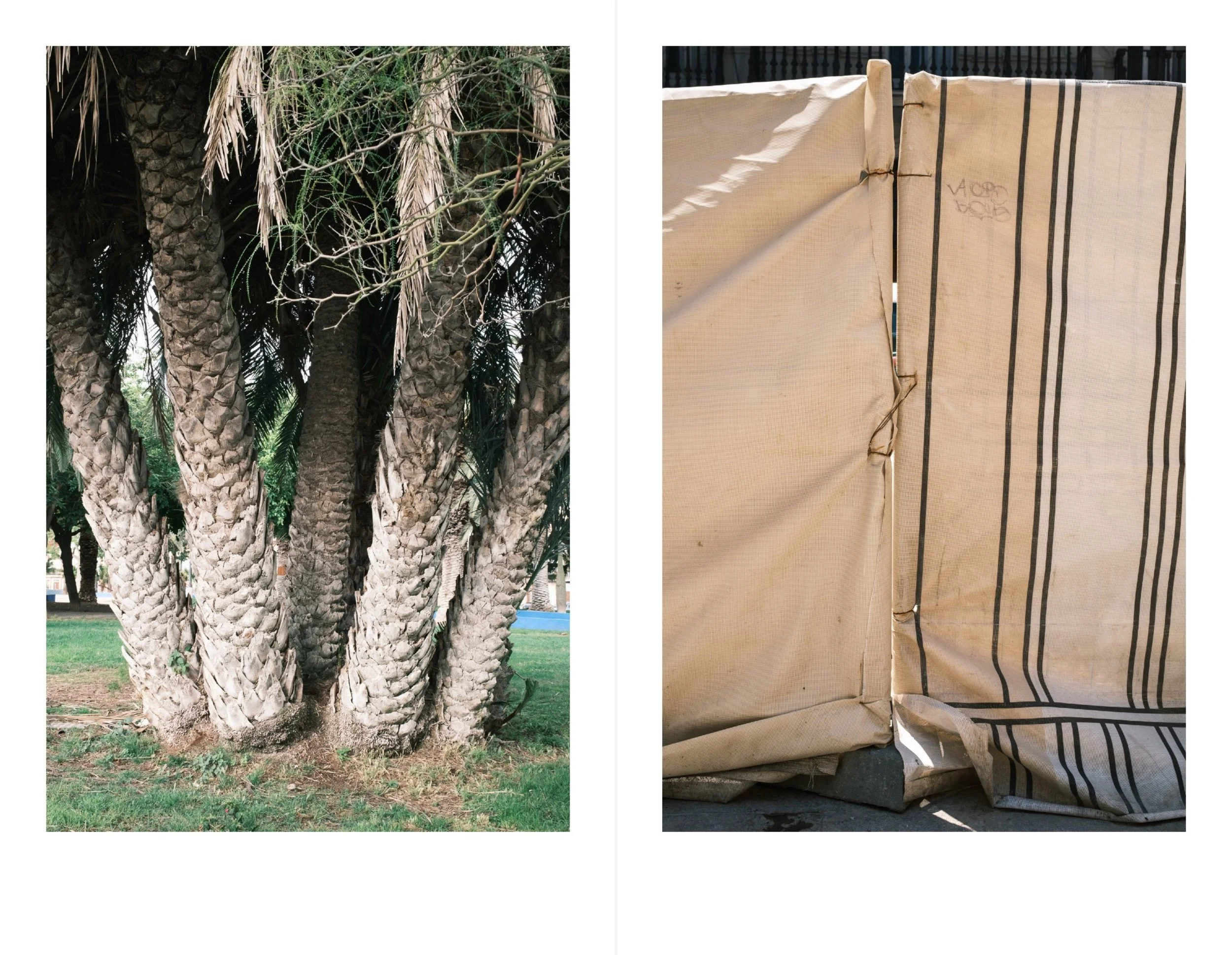 Valencia for web 9.jpeg