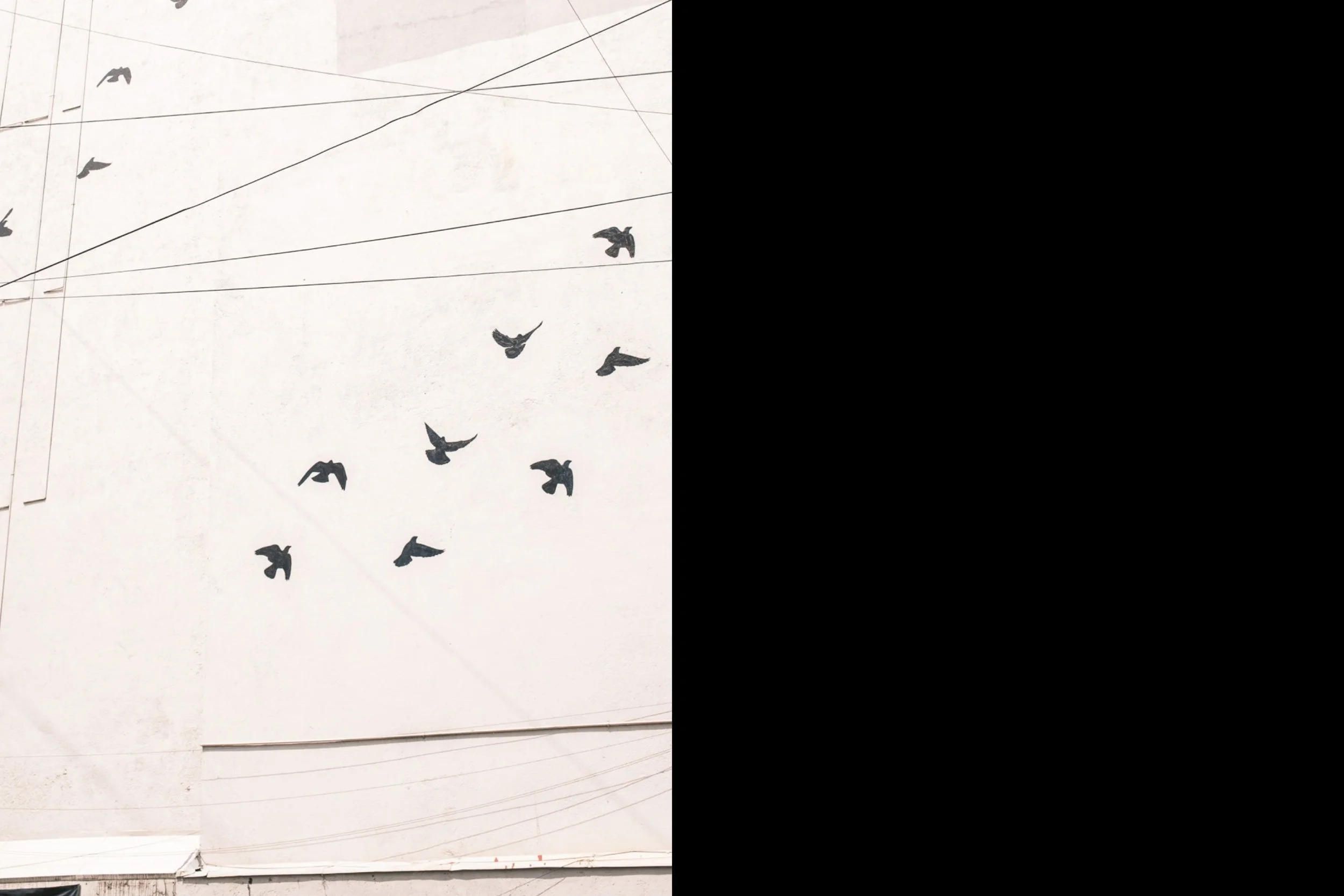 there is for web-13.jpeg