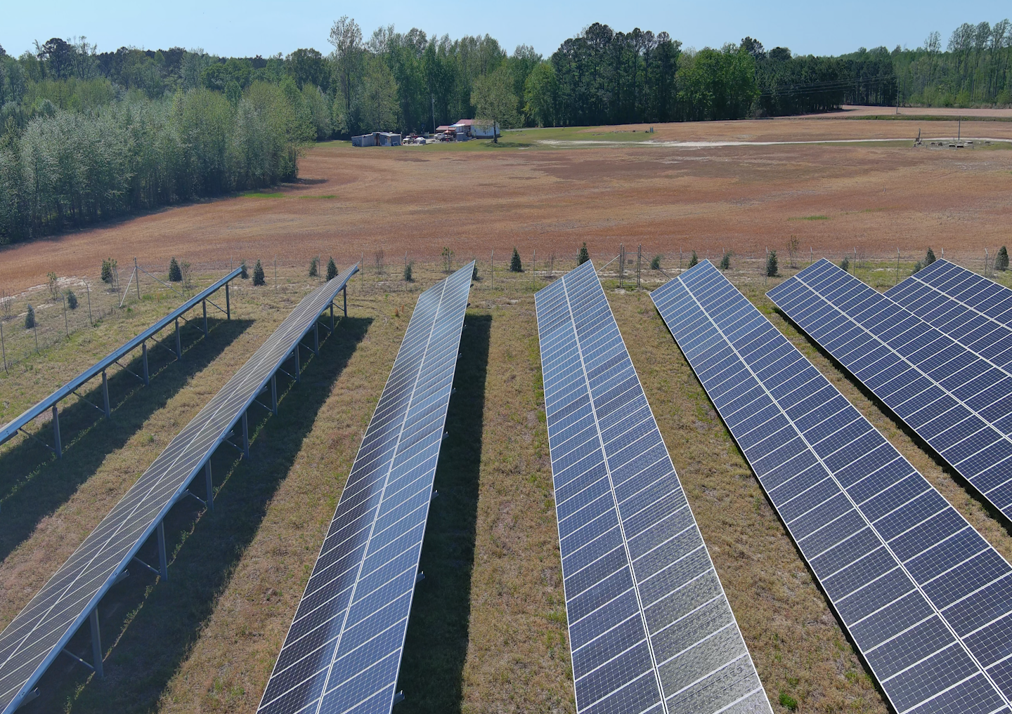 Aerial view of multiple rows of solar panels on a grassy field with trees and buildings in the background.
