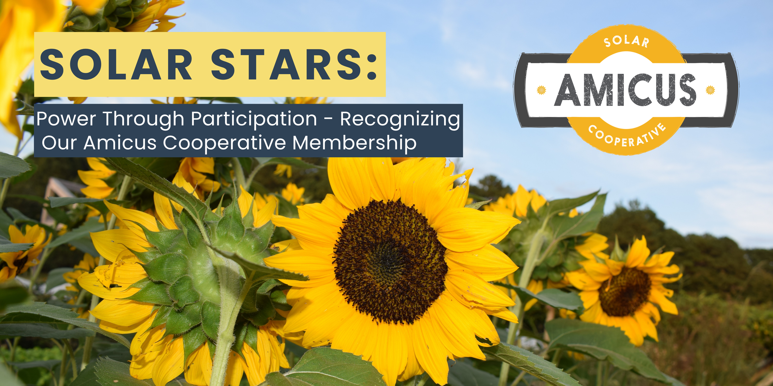 Solar Stars: Power Through Participation - Recognizing our Amicus Solar Cooperative Membership