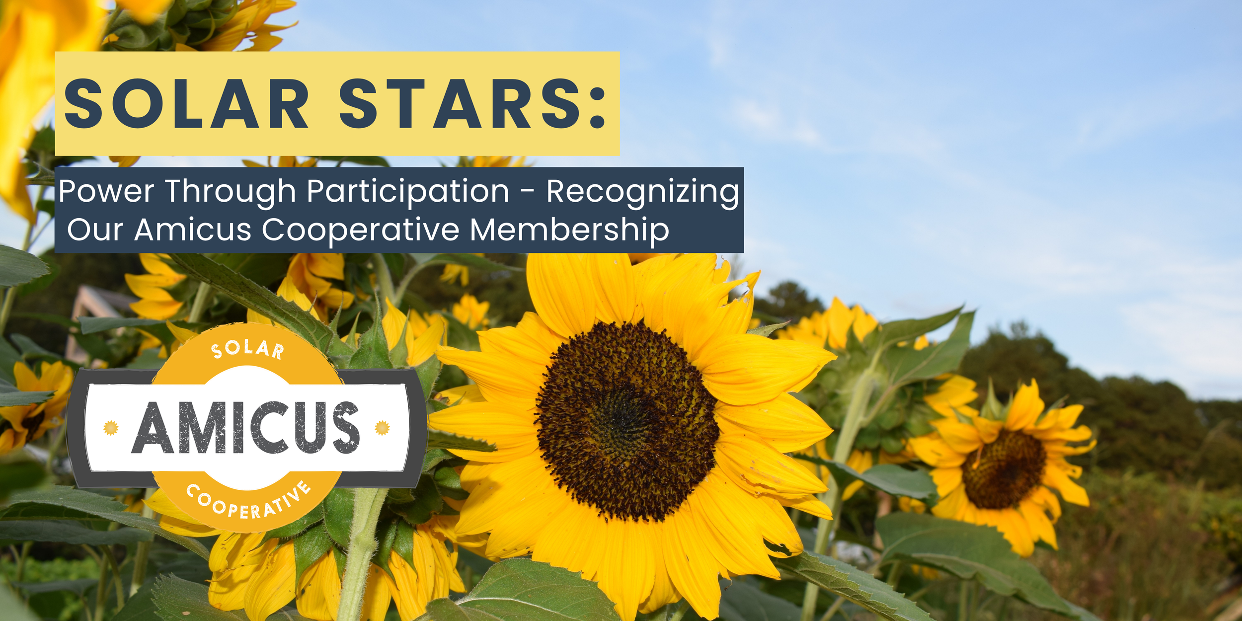Solar Stars: Power Through Participation - Recognizing our Amicus Solar Cooperative Membership