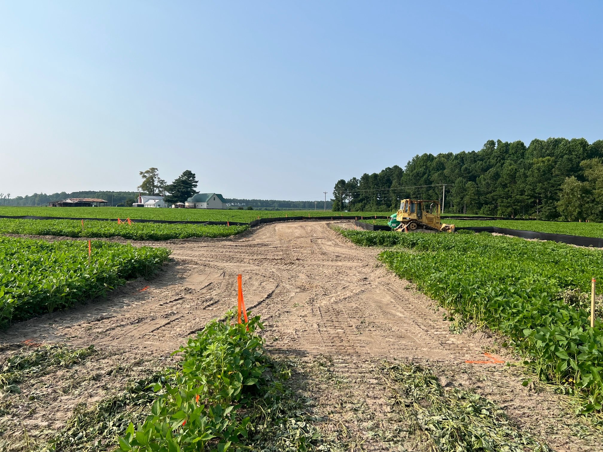 Agricultural field under construction with a bulldozer and green crops on either side under a clear blue sky.