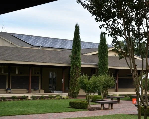 St Francis - Stystem.jpg