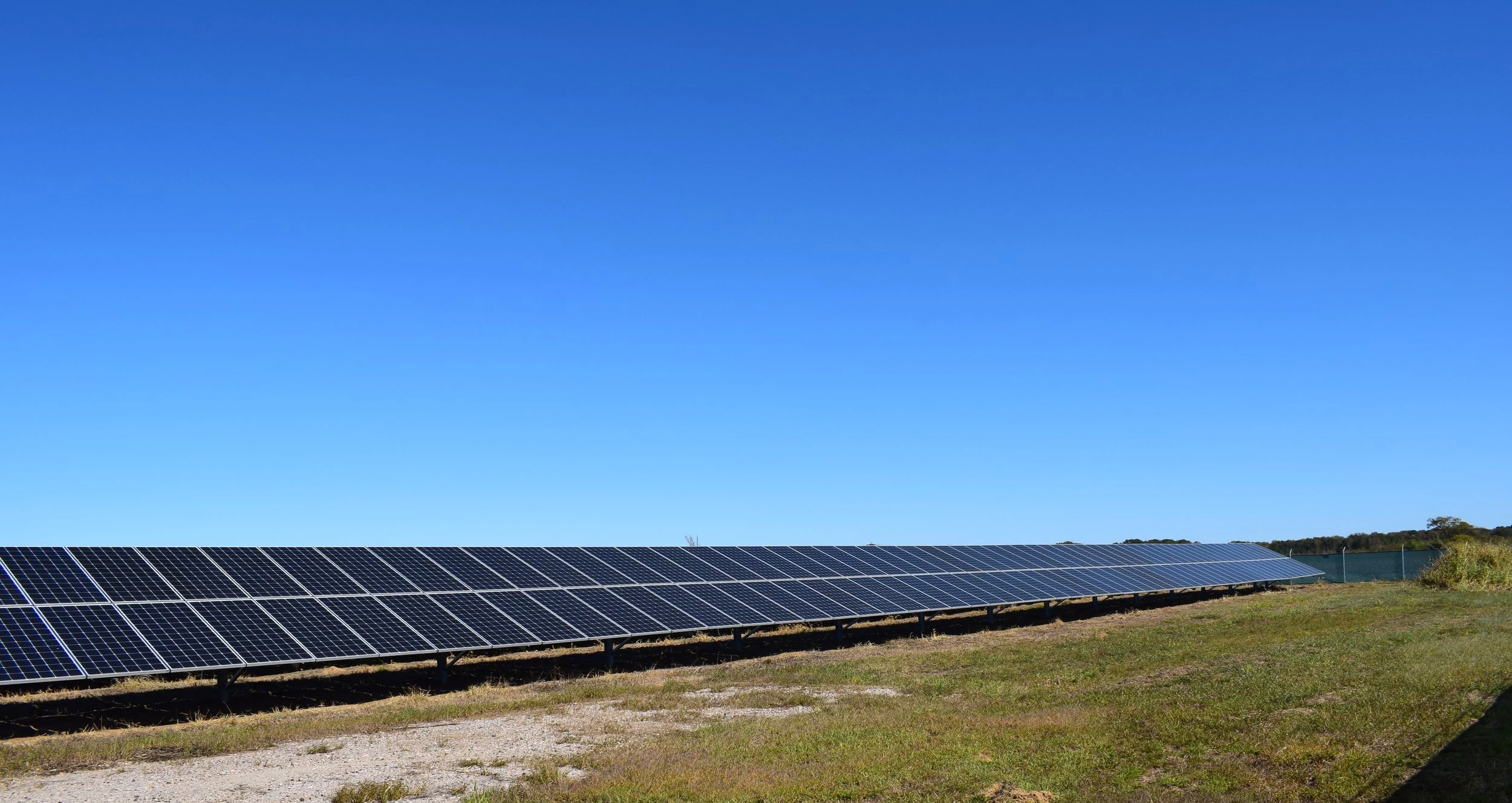 Solar panels installed on grassy land with a clear blue sky in the background.