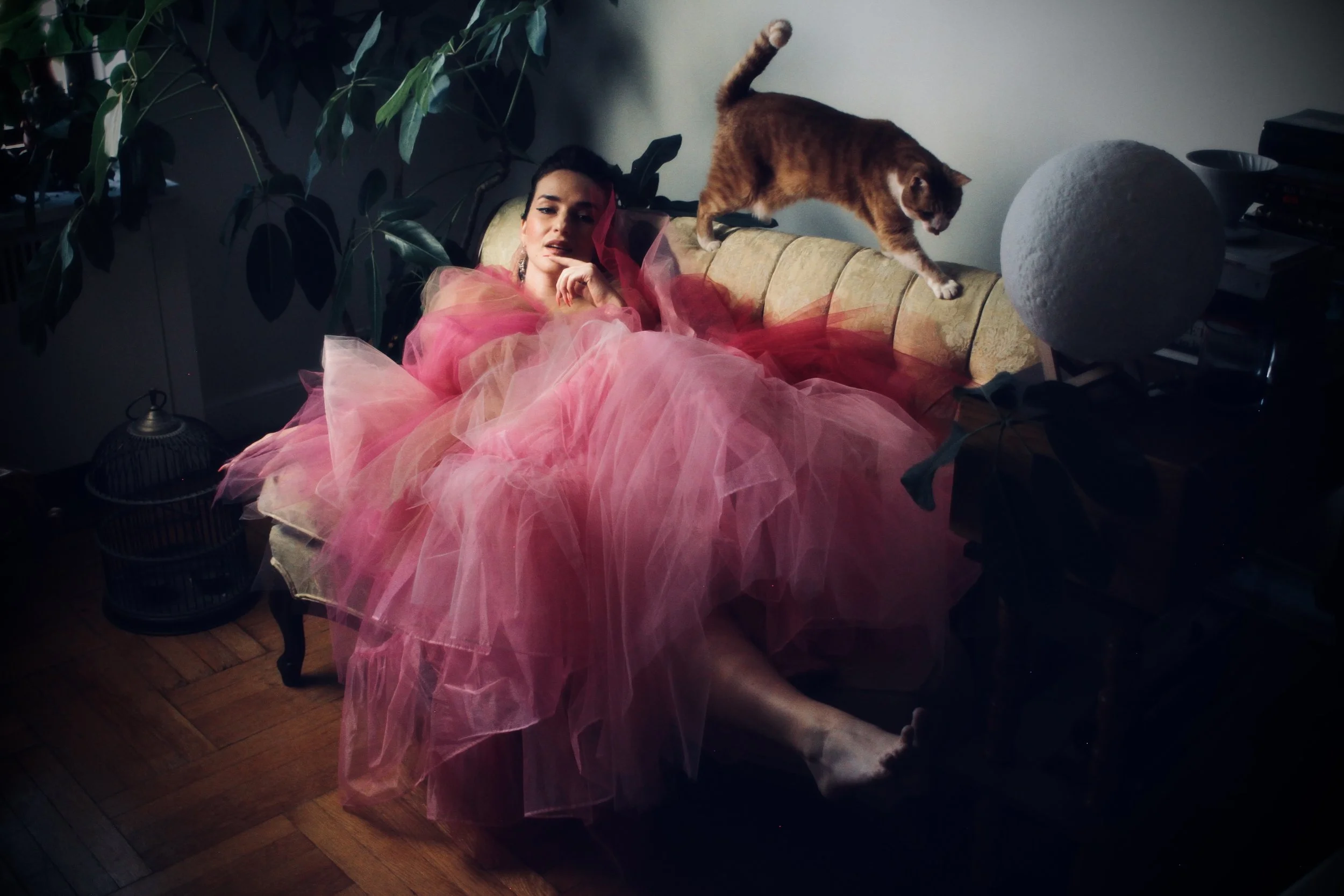 ARIADNE GREIF