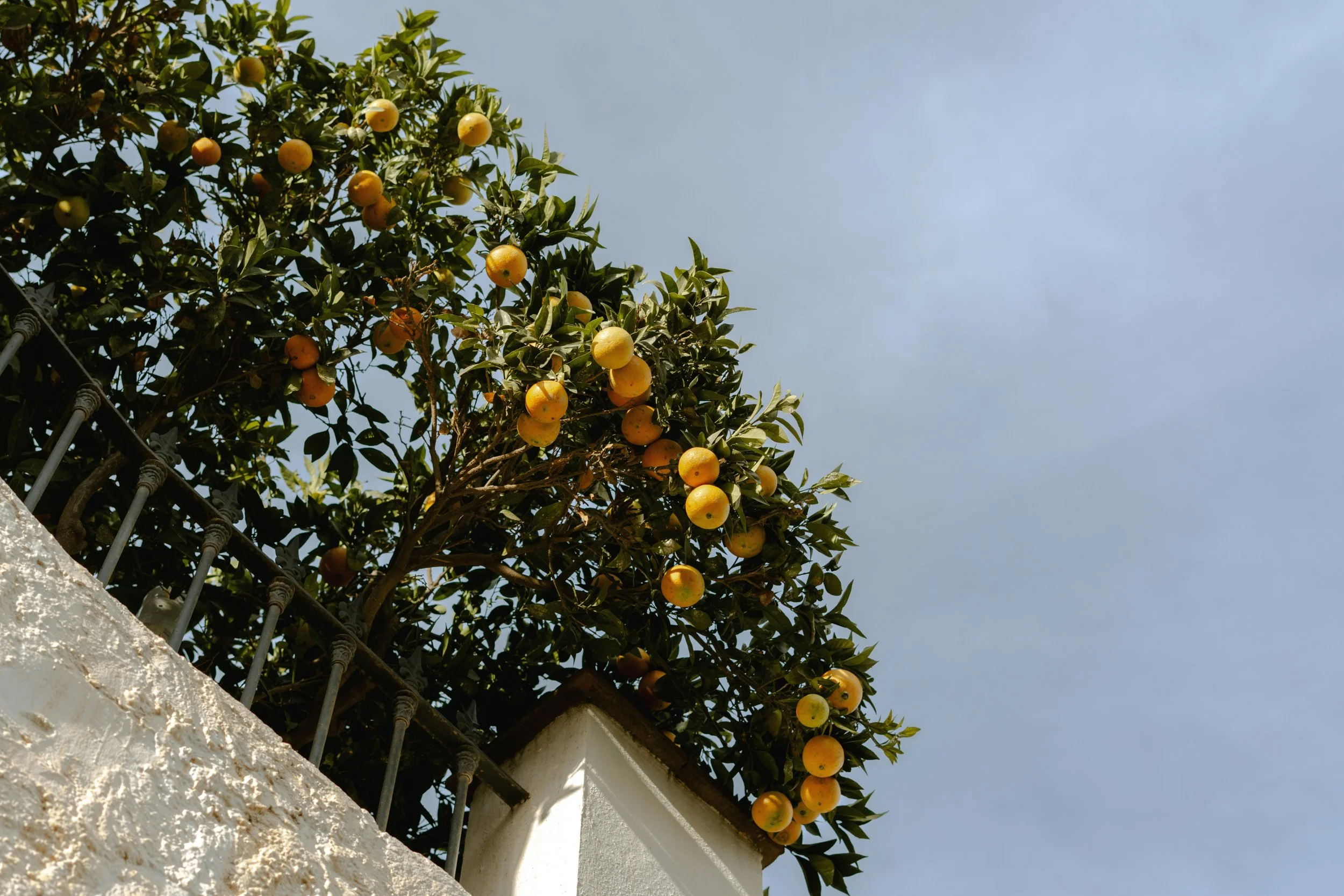 Amalfi_Coast_Sojourn_Ventures_006.jpg