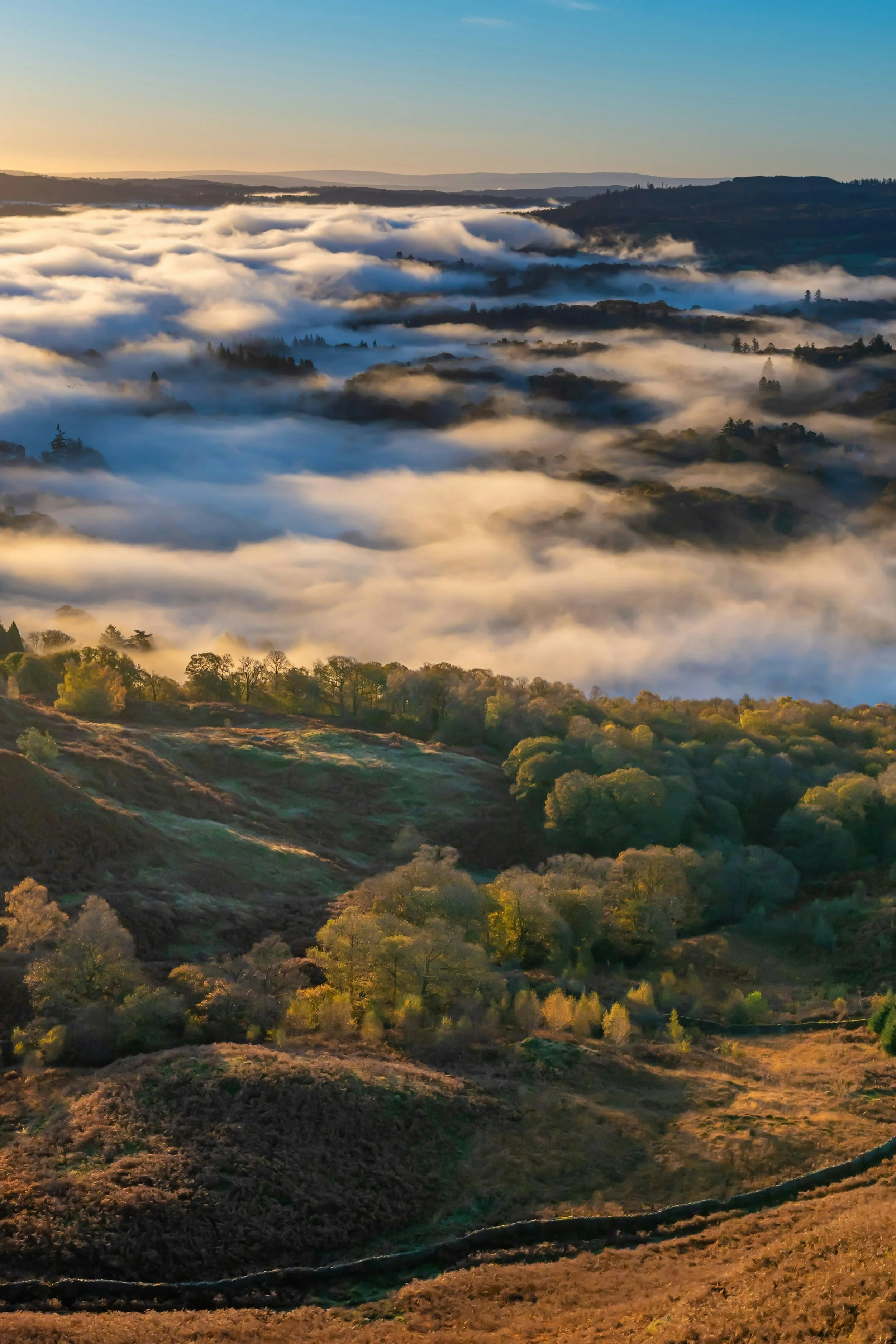 Sonoma_Sojourn_Ventures_004.jpg