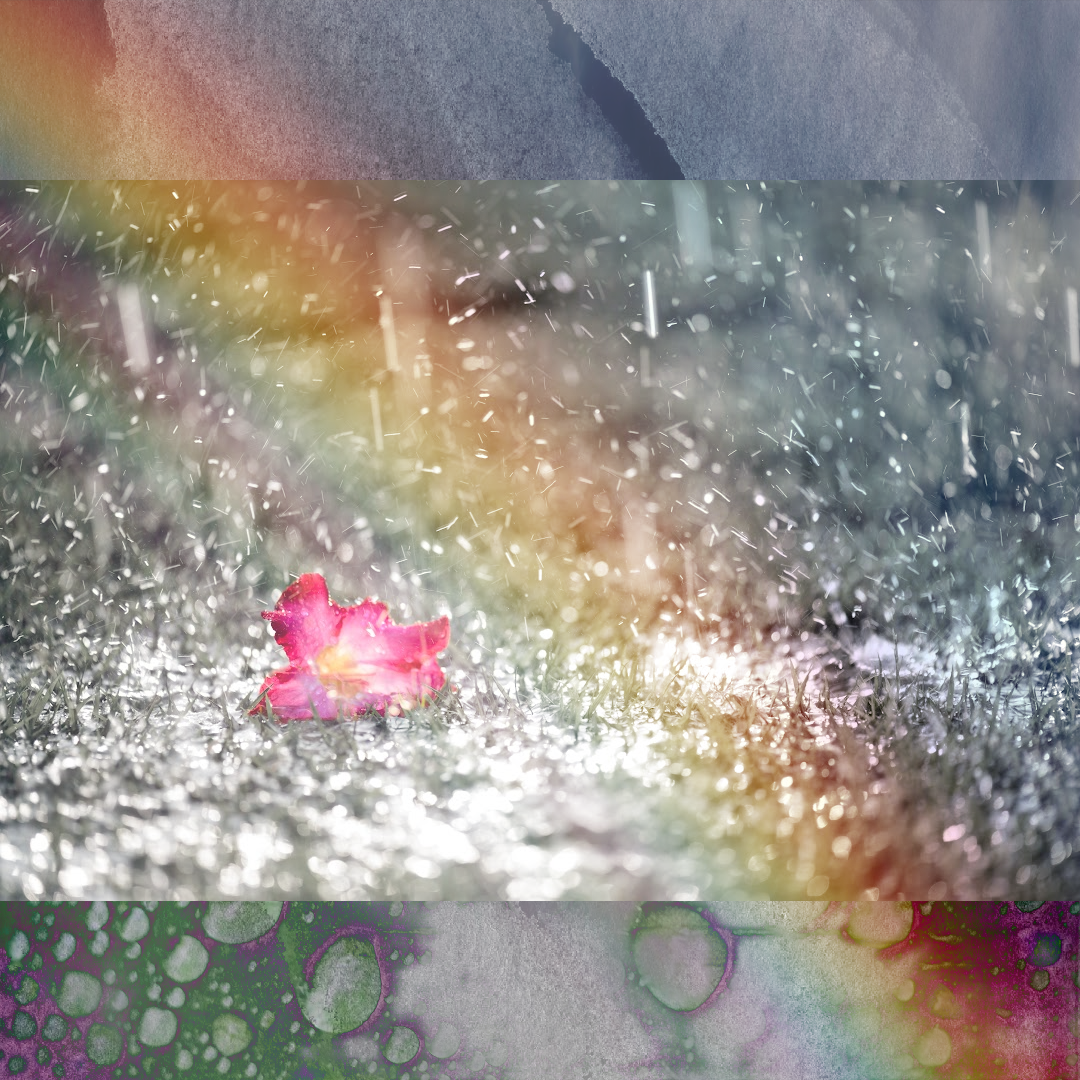"Summer Rain," Hollis Jo McCollum