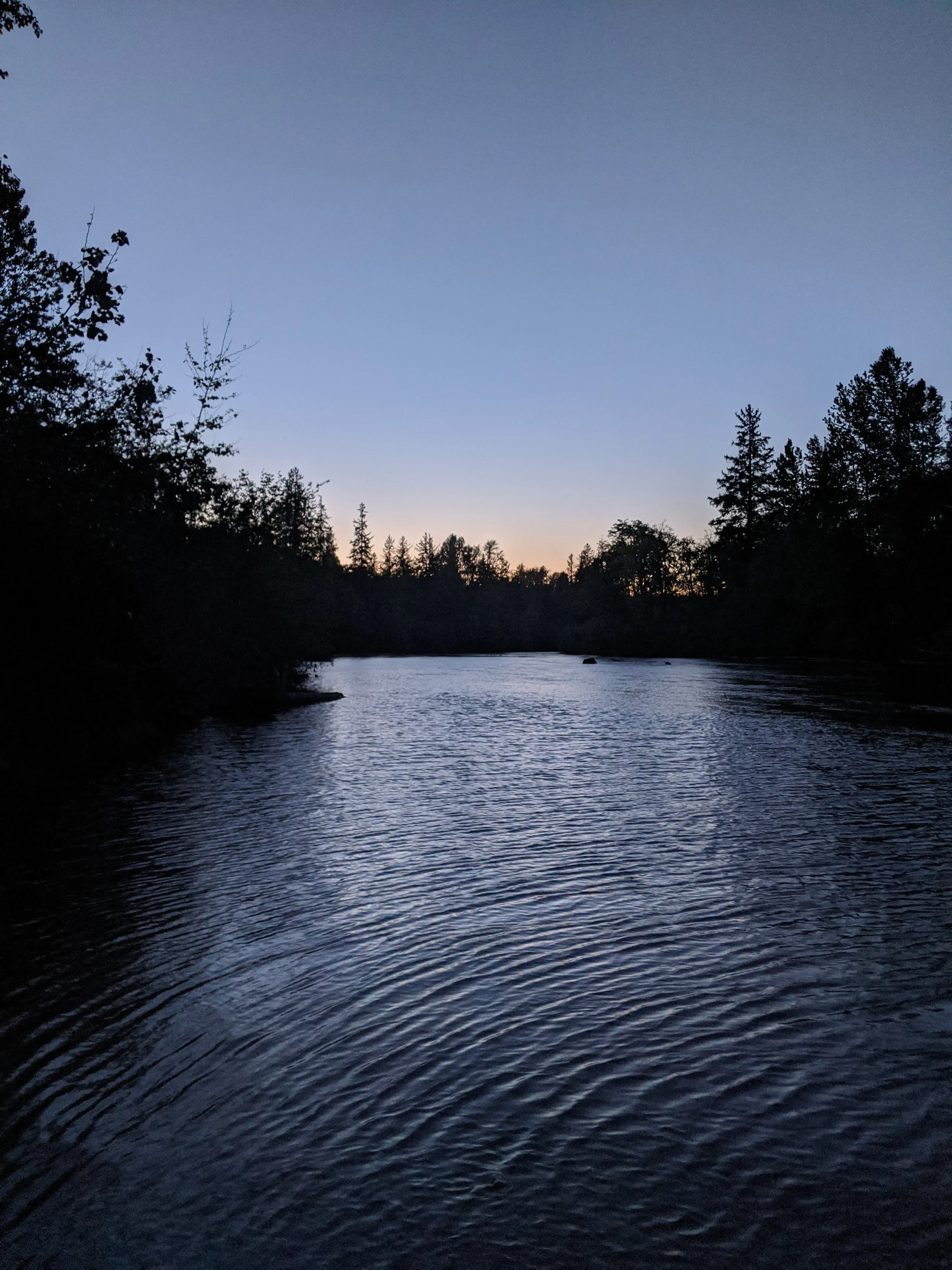 Artwork: “solace” by Obscure Nonspecifics.