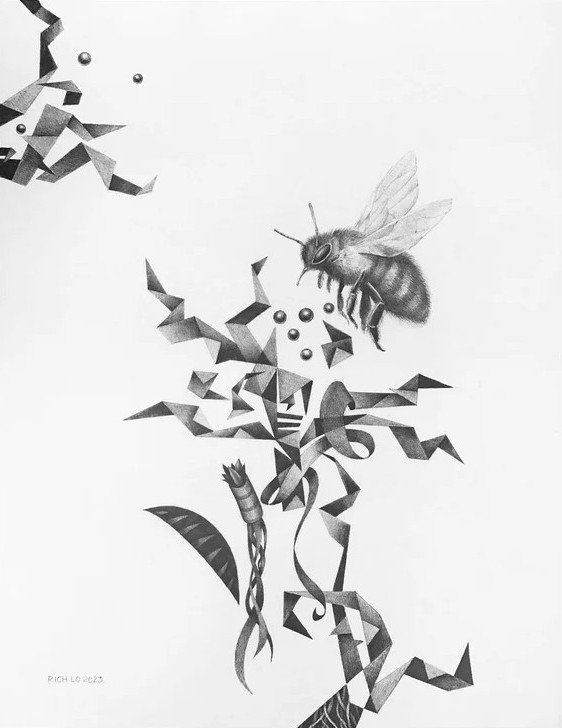 “The Collector” by Rich Lo, all rights reserved.