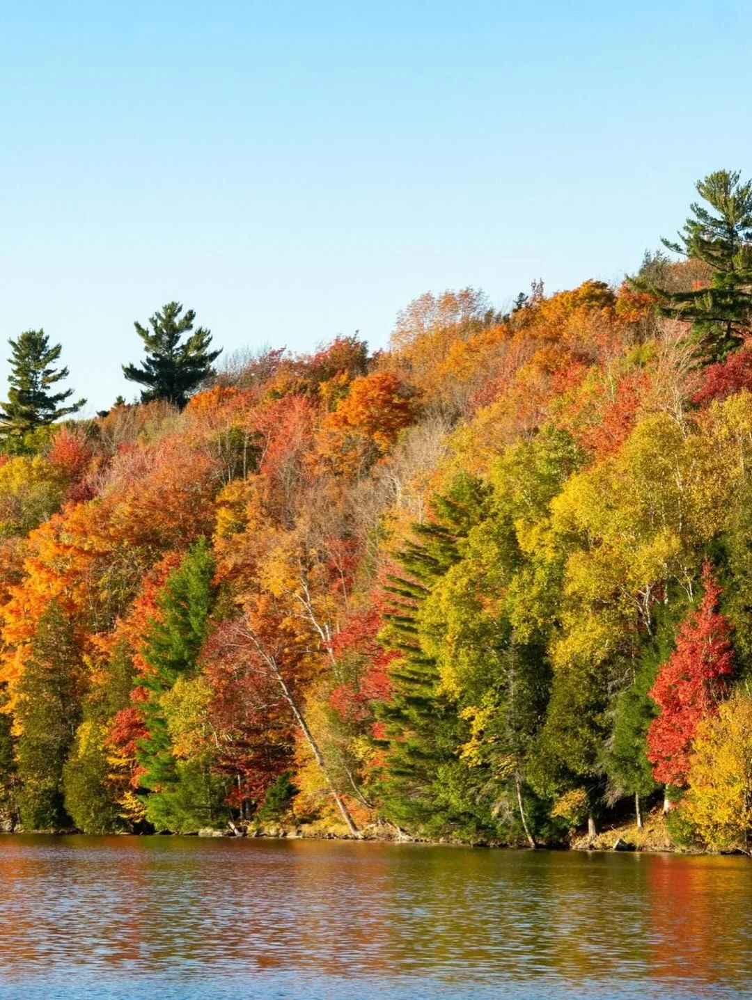 The Fall Foliage Bracelet 1