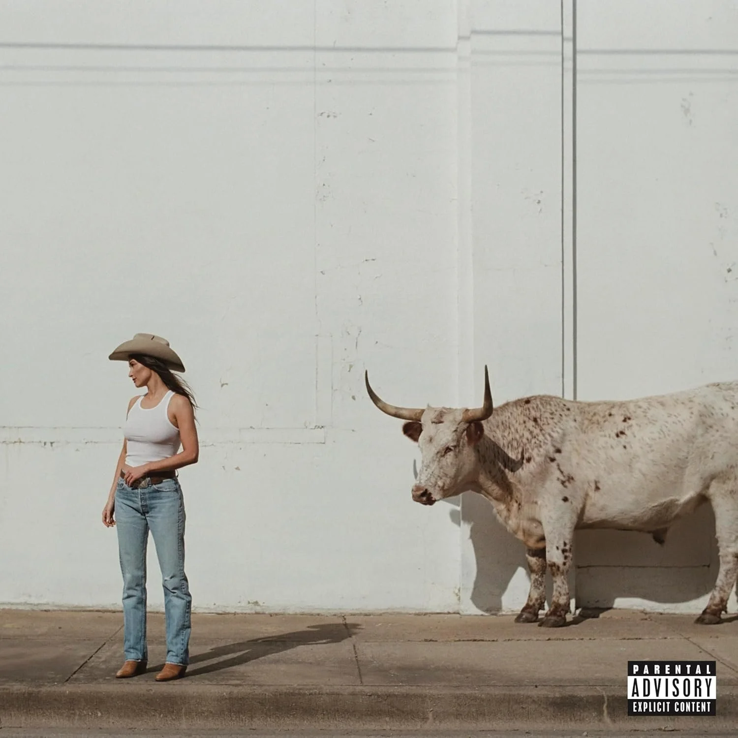 KACEY MUSGRAVES, "MIDDLE OF NOWHERE"