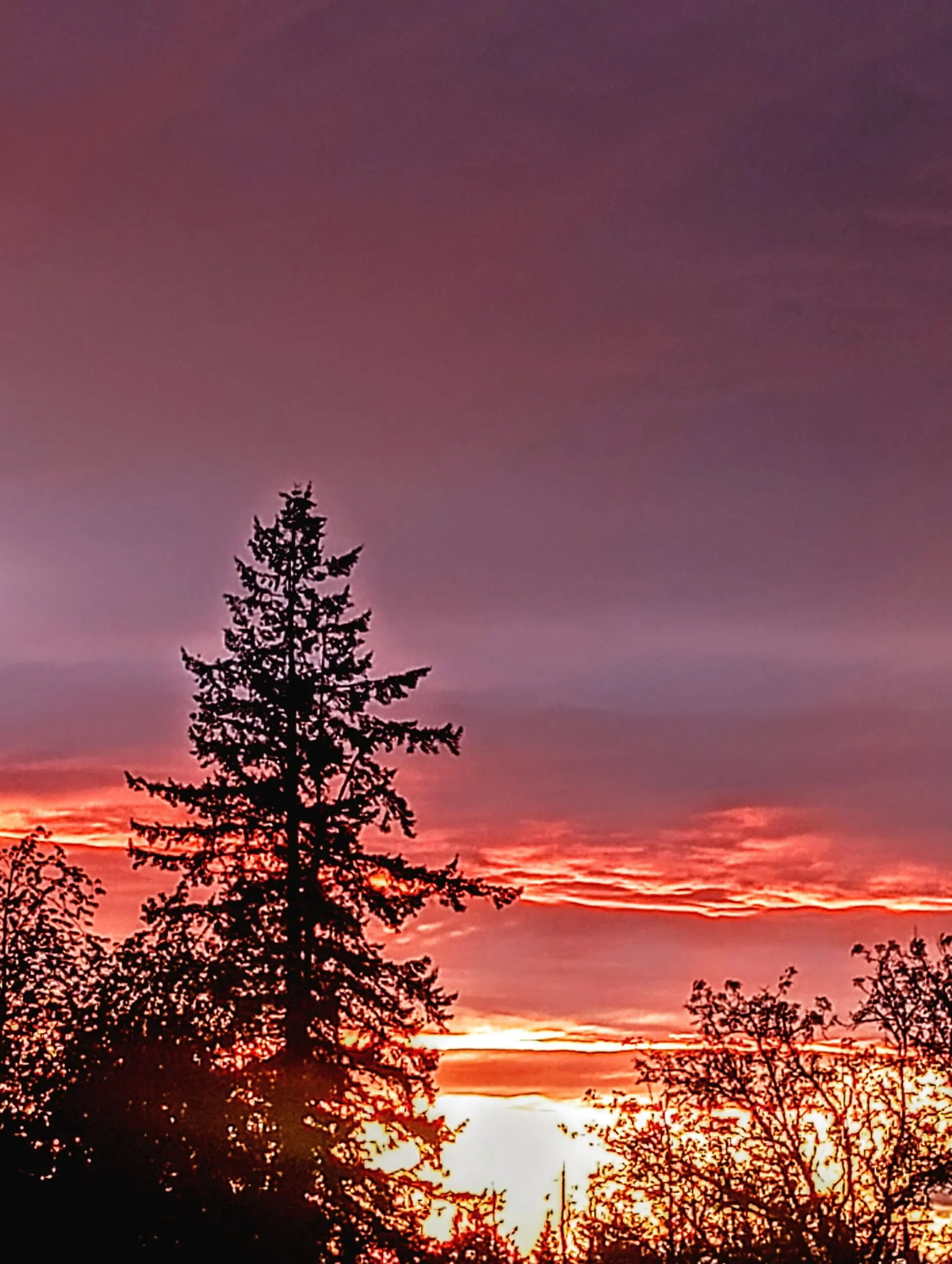 Artwork: “i watched the sky catch fire” by Obscure Nonspecifics, all rights reserved.