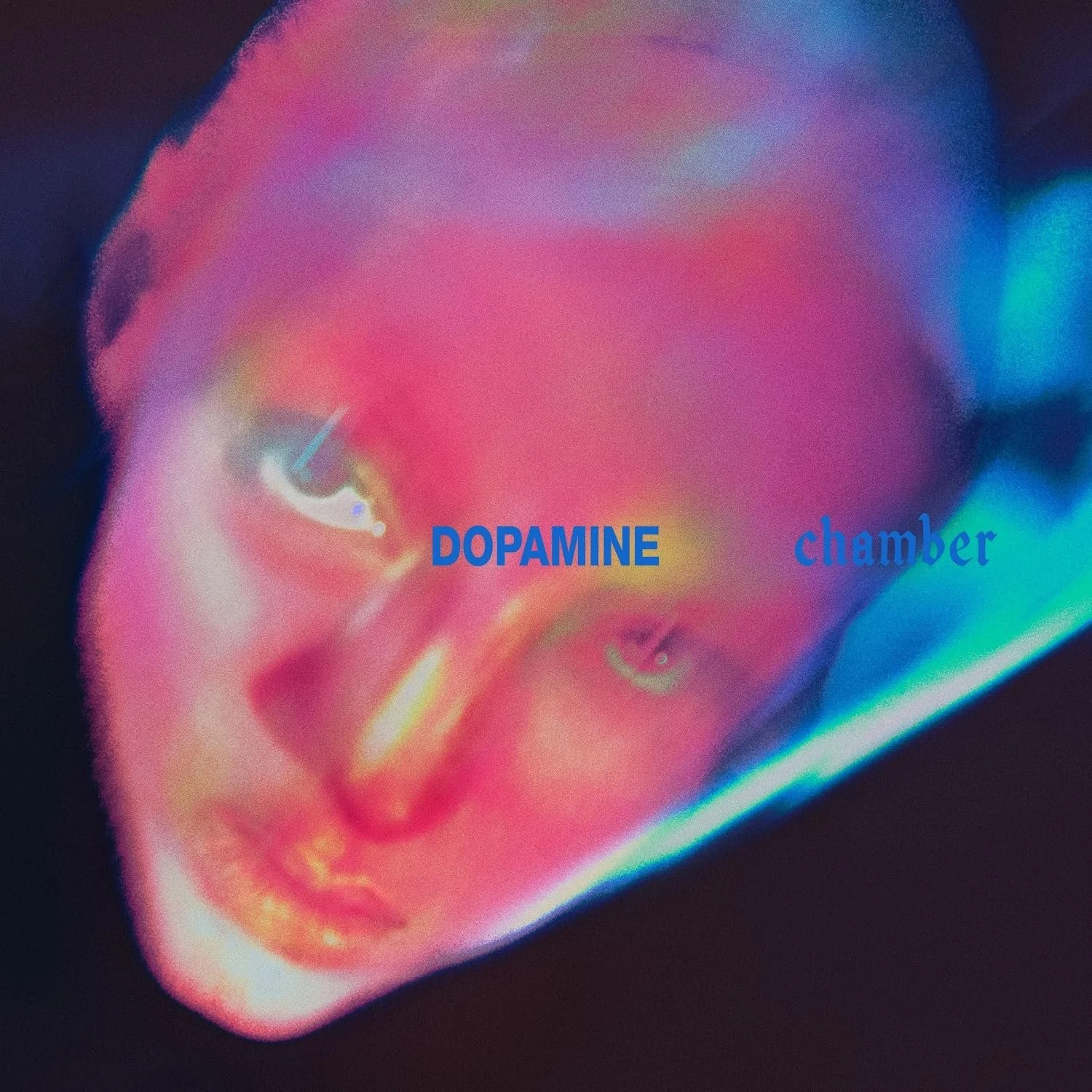 FONTAINES D.C., "DOPAMINE CHAMBER"