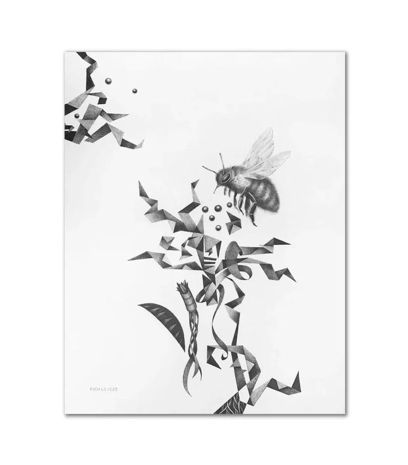 “The Collector” by Rich Lo, all rights reserved.