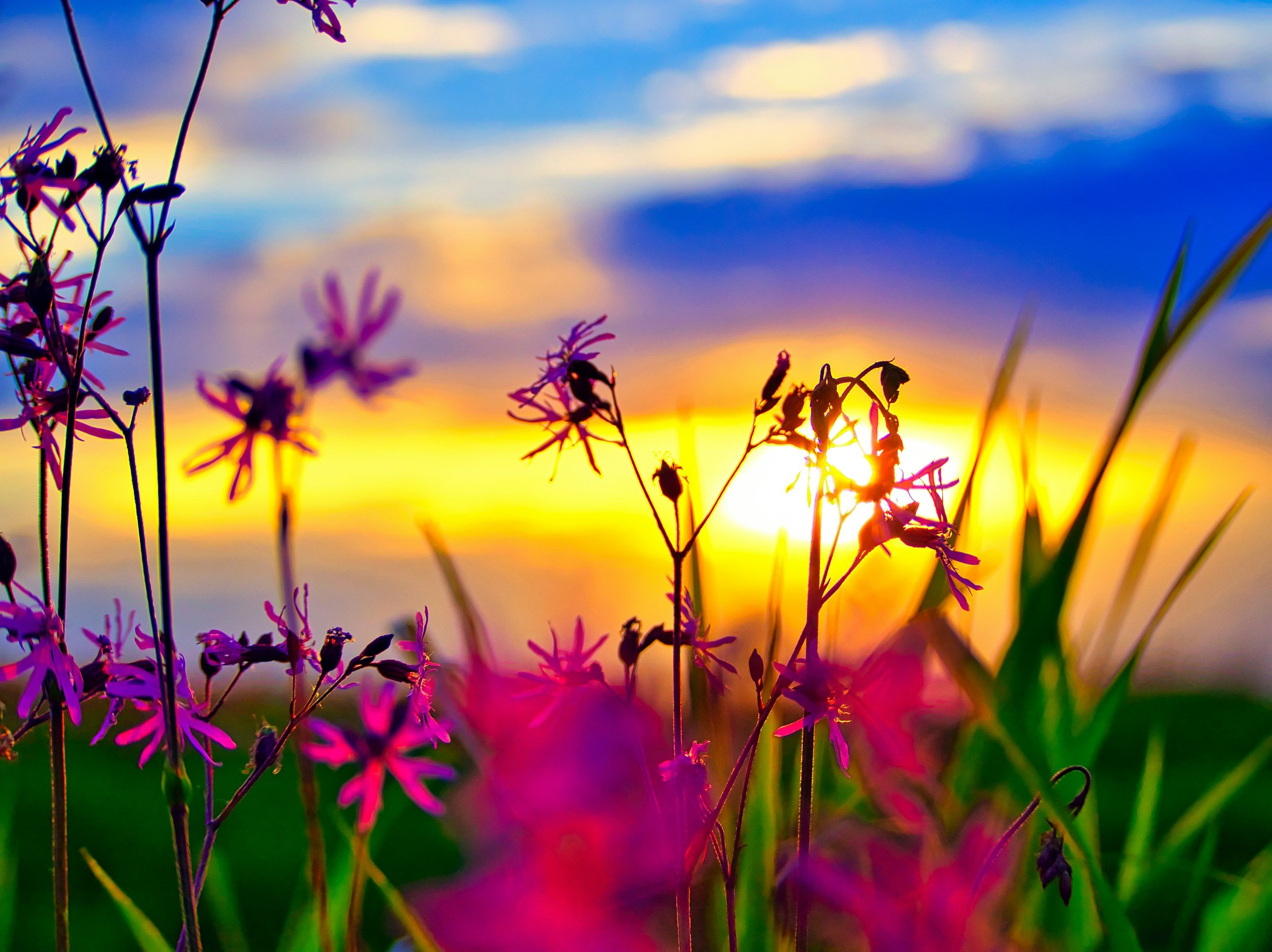 Looking Ahead With Gratitude