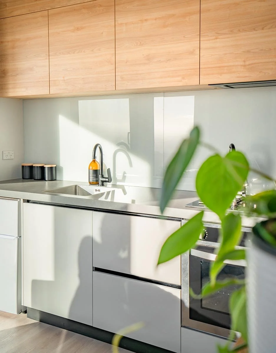 Modern kitchen with white cabinets, a stainless steel sink and faucet, wooden upper cabinets, and a small potted plant in the foreground.