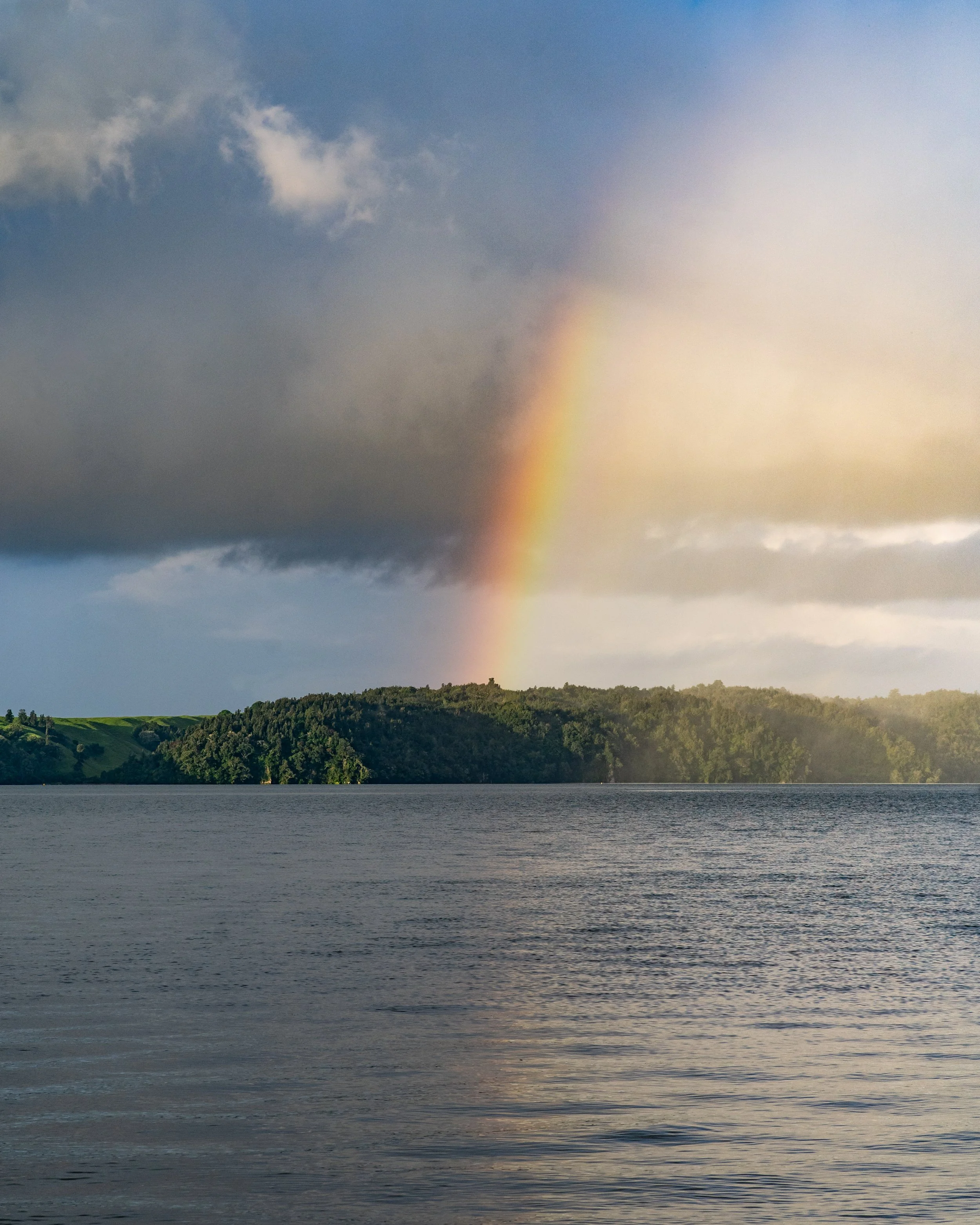 Rotorua Rainbow.jpg