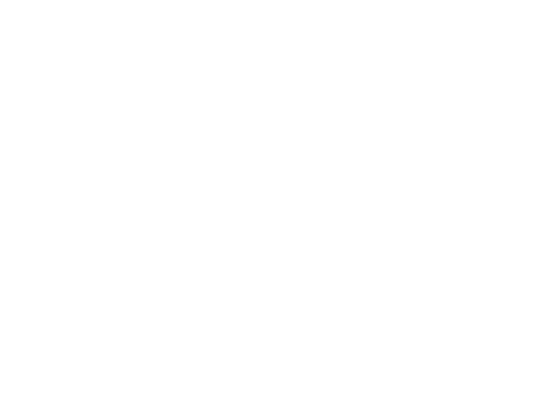 Nativas Studios