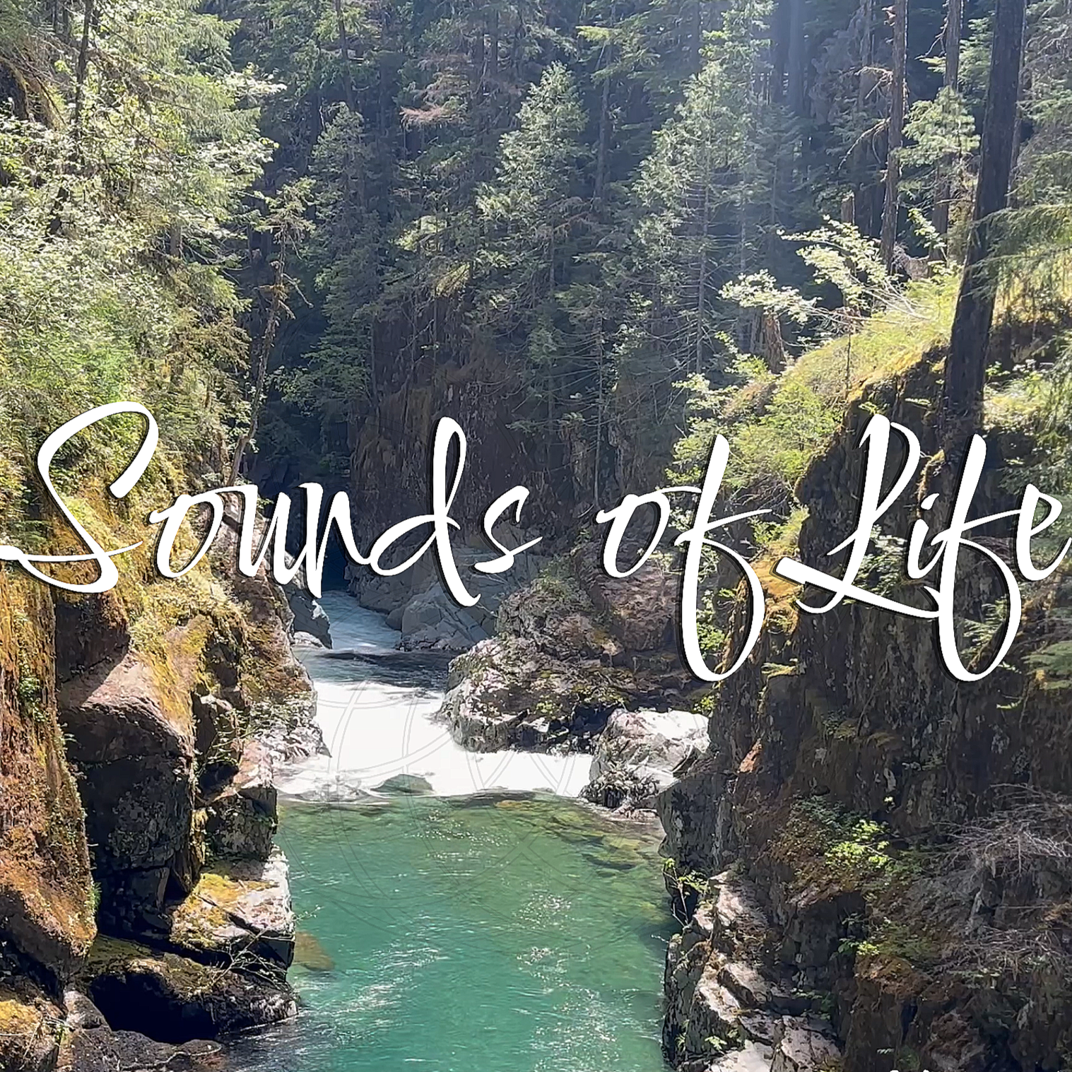 Sounds of Life Premiere